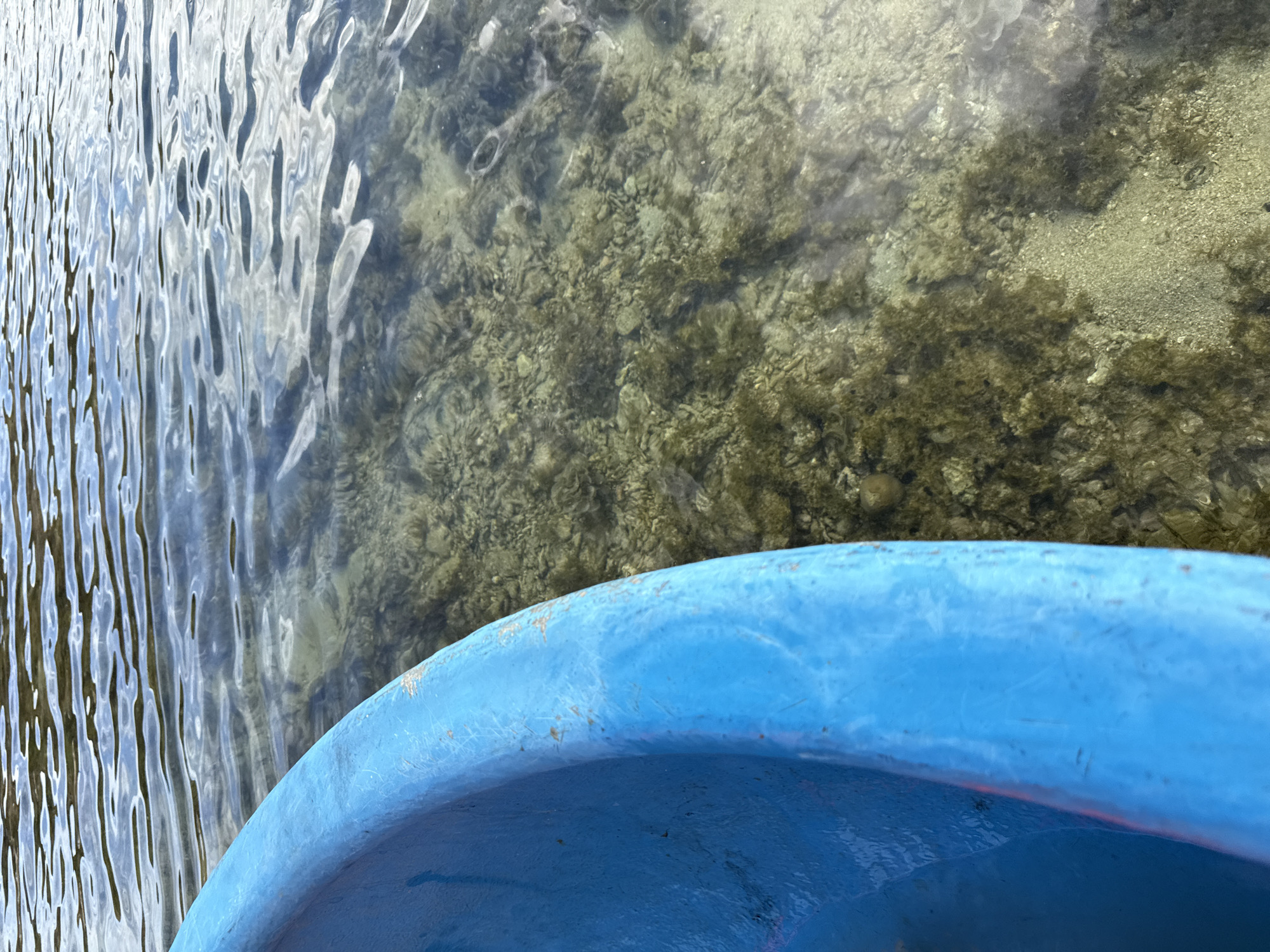 A bright blue boat is positioned on the left side of the frame, its curved edge occupying a significant portion of the foreground. Beyond the boat, the clear water of the sea reveals a sandy bottom with scattered rocks and patches of seaweed. The water's surface is rippled, reflecting the light and creating dynamic patterns. The scene suggests a calm day near the coast, possibly in the waters off Từ Nham, Vietnam, given its coastal location and typical scenery.