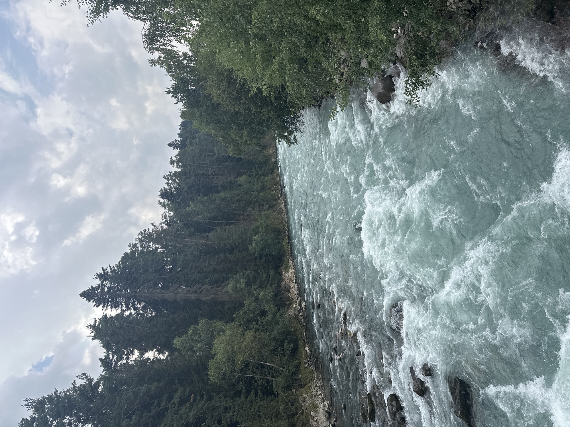 The image shows a wide, fast-flowing river with turquoise water. The river is bordered by a dense forest of evergreen trees on the left bank and a mix of evergreen and deciduous trees on the right bank. The sky is overcast with a few patches of blue visible. Rocks are visible in the river, particularly on the left side, indicating shallow areas or rapids. The overall scene is natural and wild, suggesting a mountainous or forested region. This river is likely the Bolshaya Zelenchuk, flowing through the town of Arkhyz, Russia, a popular tourist destination known for its natural beauty and outdoor activities.