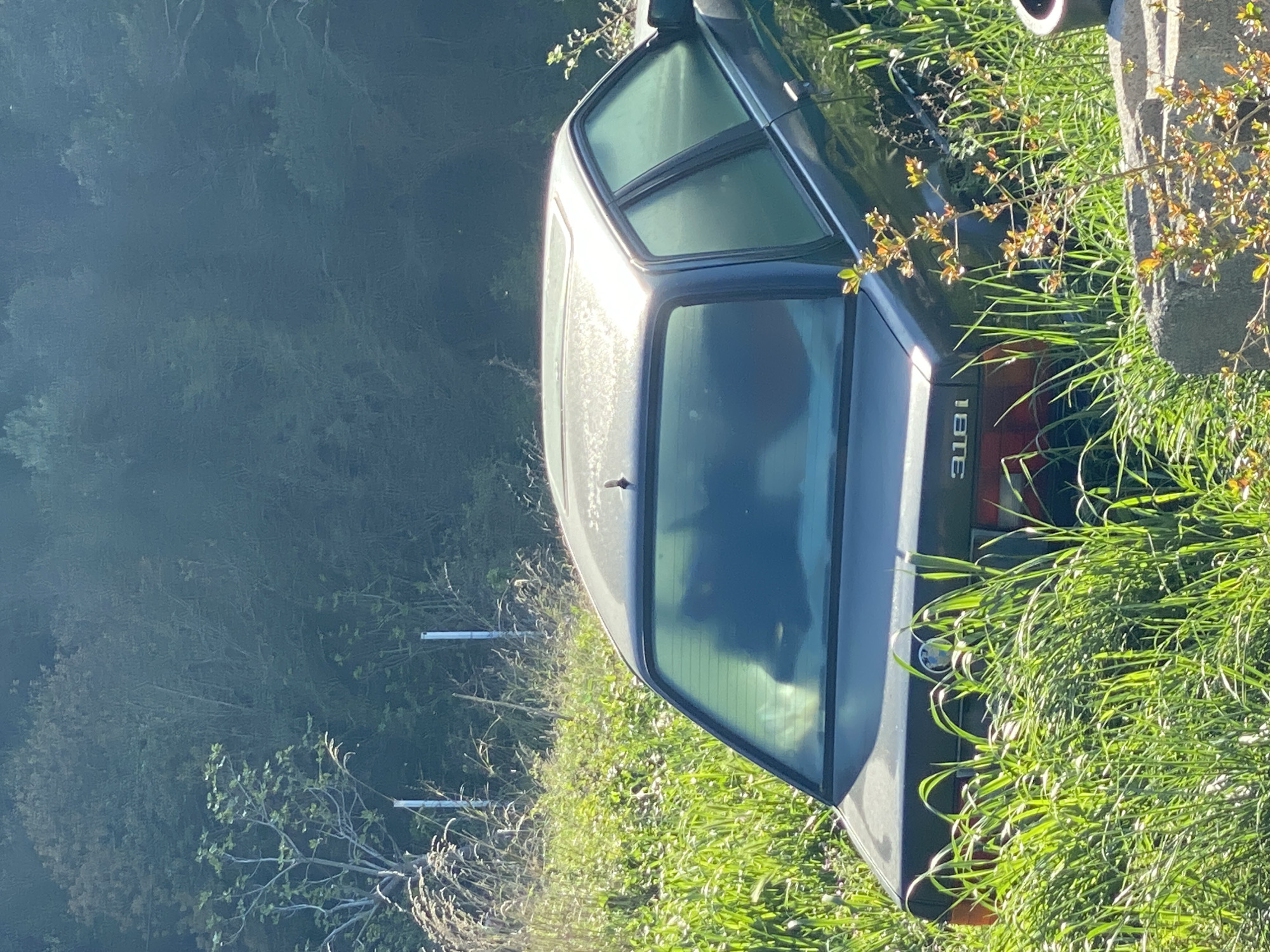 A dark-colored BMW 318i car is parked in a grassy area, possibly overgrown, in a location that suggests a rural or semi-rural setting. The rear of the car is visible, with the 318i badge clearly displayed. Green grass and other vegetation surround the vehicle. The environment seems to be a somewhat unkempt area with trees and foliage in the background. The location is not readily identifiable in Budva, Montenegro, without additional contextual clues. No people are visible in the immediate vicinity of the car.