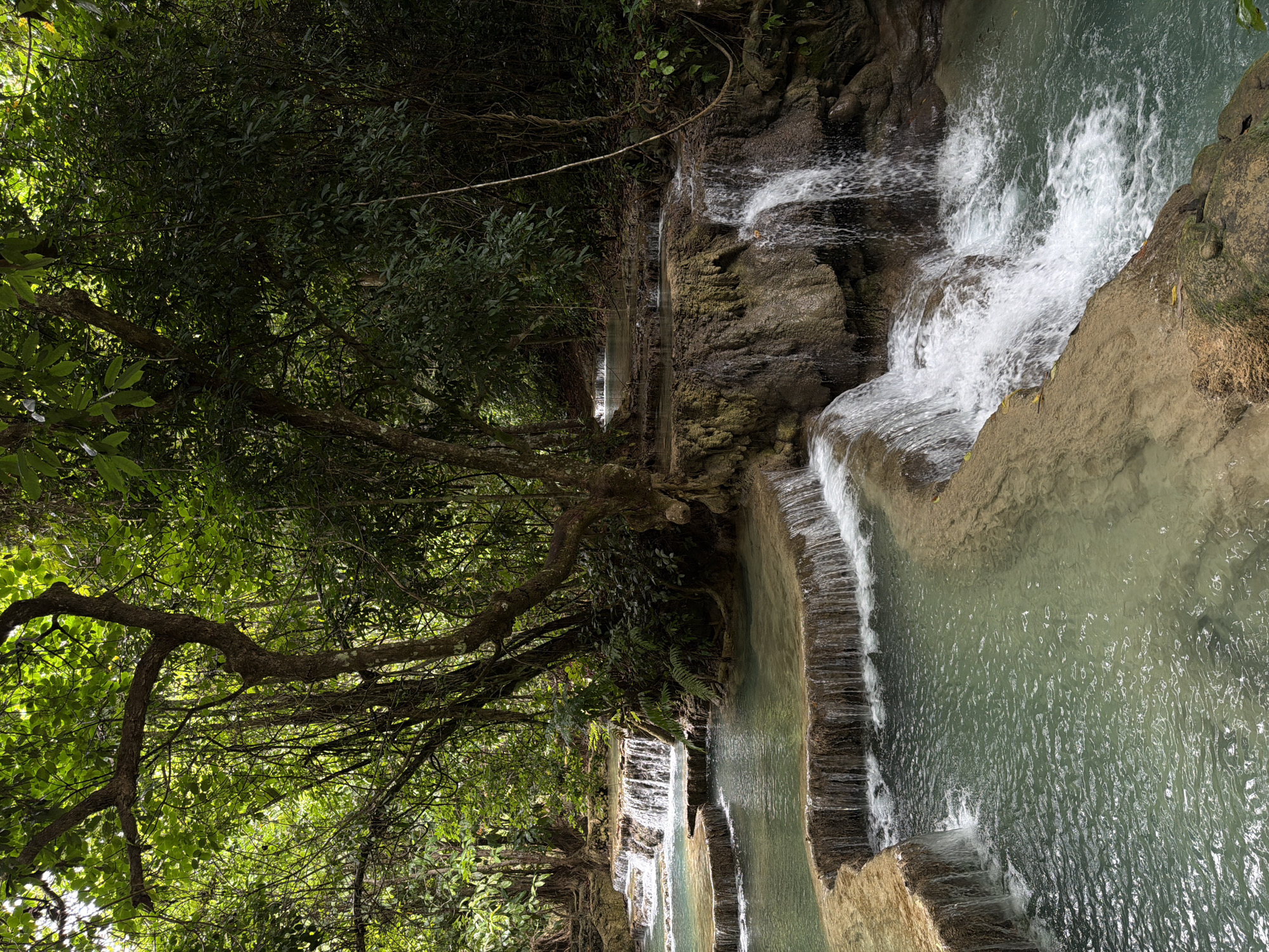 This is an image of a multi-tiered waterfall in a lush, green forest environment. The water is a clear turquoise color, cascading over layers of light brown rock formations. Large trees with dense foliage surround the waterfalls, creating a shaded and natural setting. The scene appears to be a tranquil and picturesque natural landscape, likely a tourist attraction. Based on the visual cues, this scene is consistent with the Kuang Si Falls located near Thapene, Laos. There are no people visible in the image.