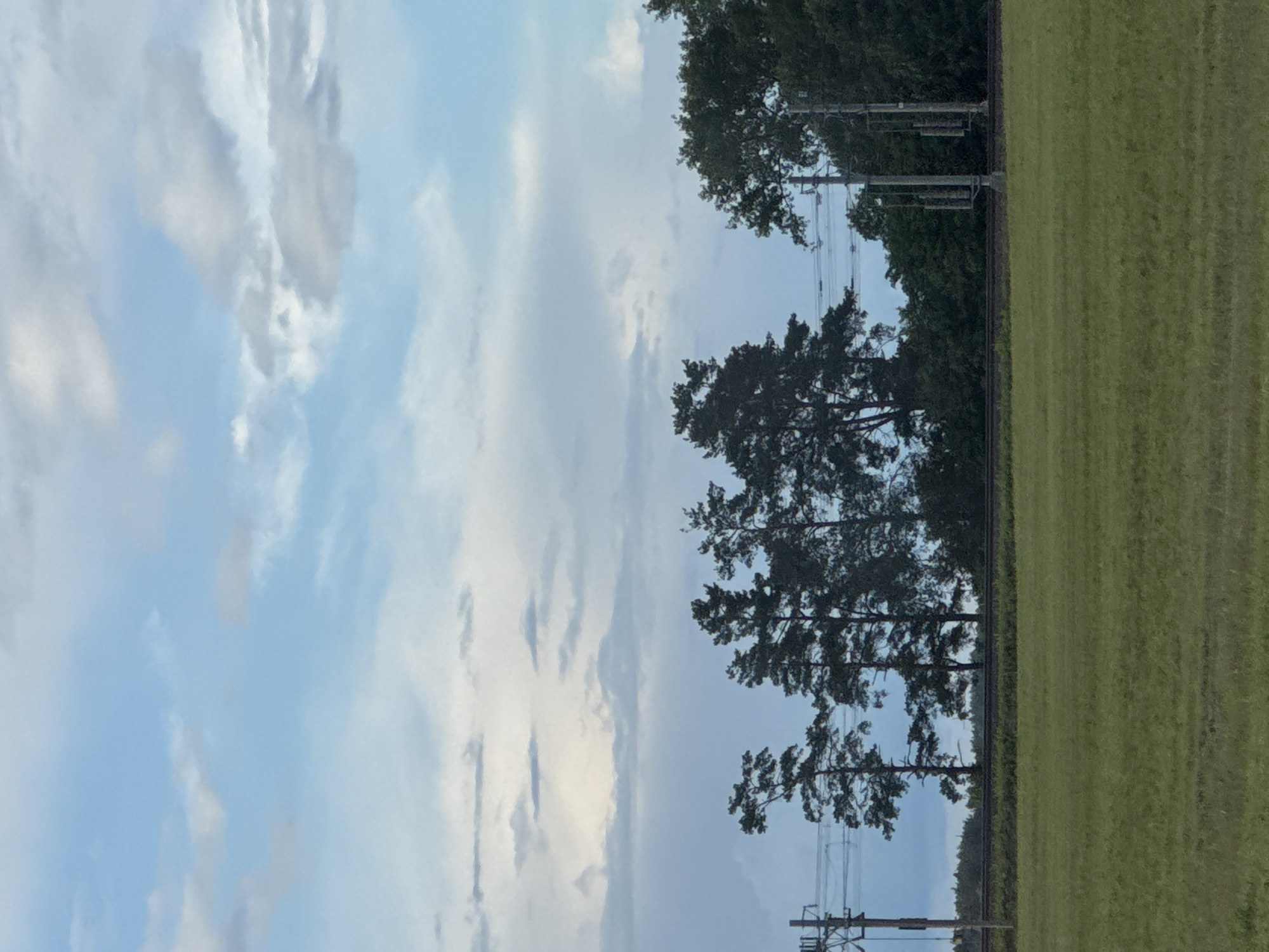 This image captures a pastoral scene with a focus on the natural landscape and infrastructure. In the foreground, a vast, flat field of green grass stretches across the frame, suggesting a rural or agricultural setting. Behind the field, a railway track runs horizontally, bordered by a line of trees, predominantly tall pines with distinctive silhouettes. These trees stand against a backdrop of a sky filled with scattered clouds. The clouds vary in density and shade, with some appearing wispy and light blue, while others are thicker and tinged with grey, indicating a potentially dynamic weather system.
Several man-made elements are visible, integrated into the landscape. On the left side of the image, a utility pole with electrical wires stretches upwards, hinting at the presence of power transmission. Further to the right, another set of utility poles, more elaborate with multiple structures, are positioned near the treeline, also supporting electrical infrastructure. These elements indicate that while the scene is predominantly natural, it is also a functional area with modern utilities. The overall impression is one of a quiet, possibly slightly overcast day in a rural area, where nature and human infrastructure coexist. The specific location is identified as the village of Balshavicki rural council, Belarus.