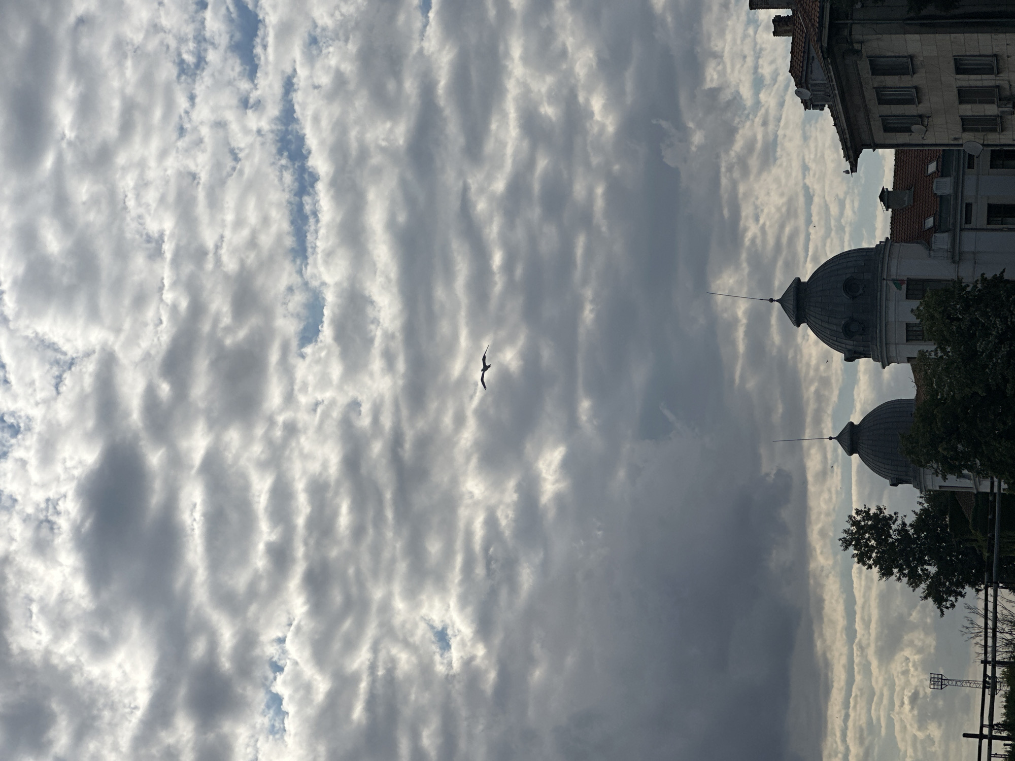 The image shows a sky filled with dense, layered clouds, varying in color from dark gray to bright white where the sun is breaking through. A solitary bird is silhouetted against the clouds in the upper half of the frame, in mid-flight. In the lower portion of the image, the tops of buildings are visible. Two prominent domed structures, likely part of a public building or historical site, are partially obscured by trees. To the right, a more modern-looking building with multiple windows and a tiled roof is also visible. The overall scene suggests an outdoor urban environment under a dramatic, overcast sky.
