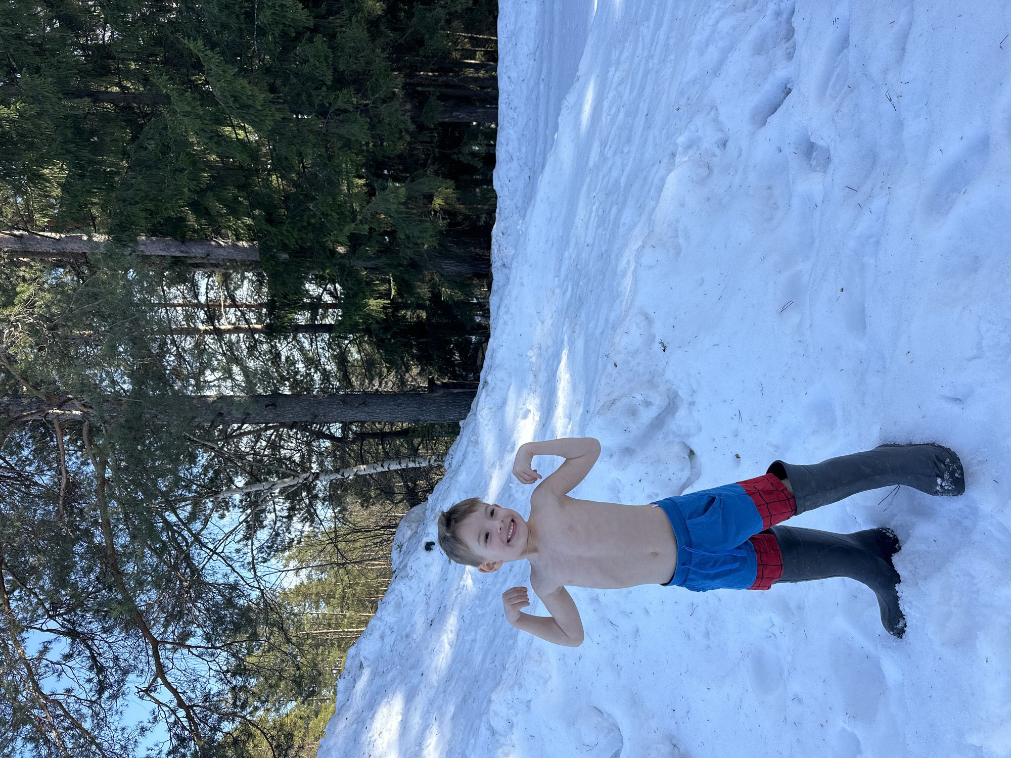 A young boy stands barefoot from the waist up in a snowy outdoor setting, wearing blue shorts with a red and black checkered pattern at the hems, and black rubber boots. He is positioned on a snow bank, leaning slightly back, and is flexing his biceps with a wide, joyful smile directed at the camera. His face is rosy from the cold, and he appears happy and playful.
The background features a dense forest composed of tall evergreen trees and some deciduous trees with bare branches, extending towards a clear blue sky. Bright sunlight illuminates the scene, casting shadows on the snow and highlighting the boy. The snow has visible texture, with some minor debris like pine needles and faint indentations from footsteps. The overall impression is of a cheerful moment, possibly during a warm winter or early spring day, where the boy is embracing the cold with enthusiasm. No text is visible in the image.