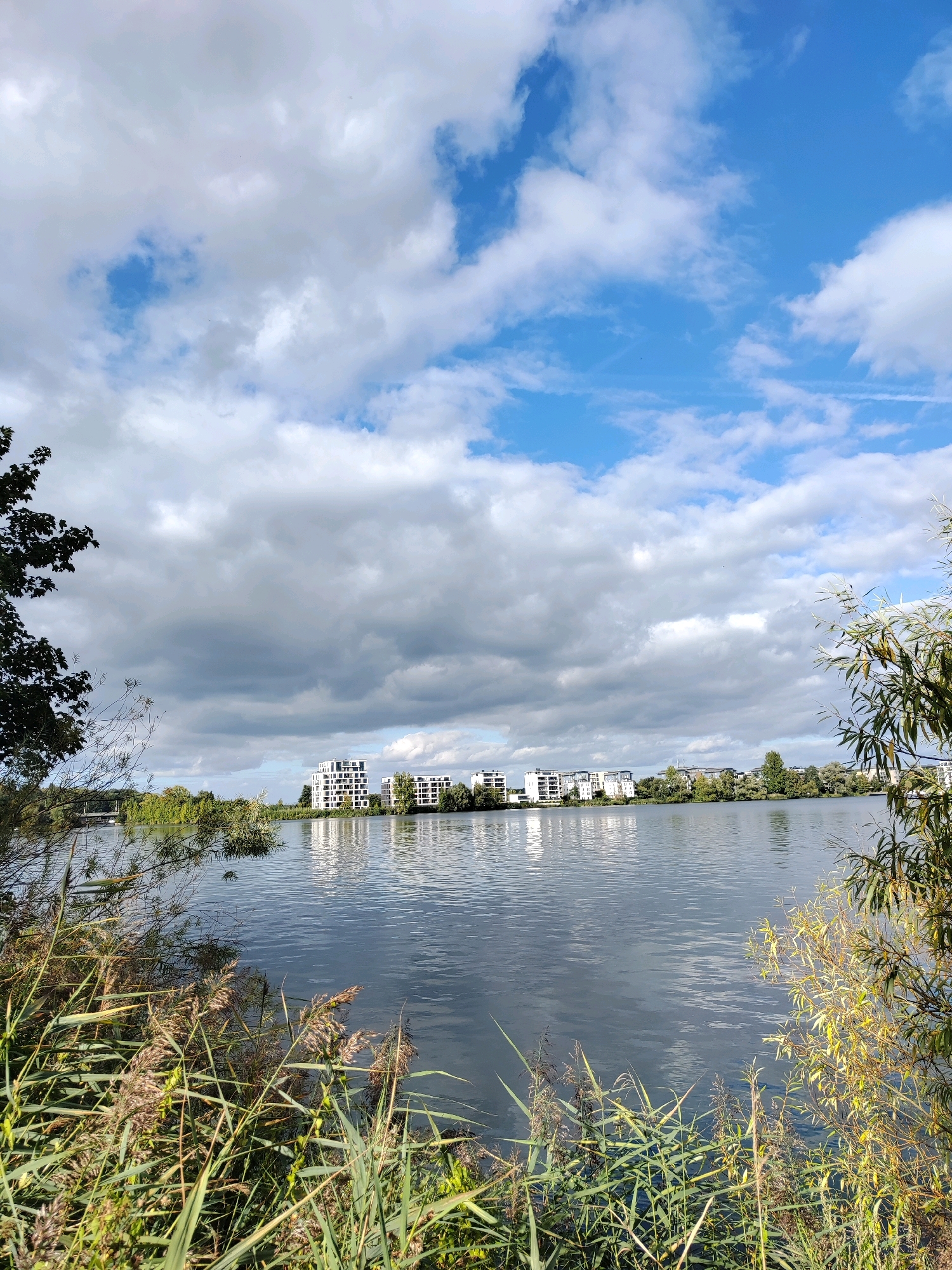 The image depicts a tranquil scene of a body of water, likely a lake, with modern white buildings situated on the opposite shore. The foreground is dominated by lush green reeds and tall grasses, partially obscuring the view of the water. The water surface is calm, reflecting the cloudy sky and the buildings on the distant bank. The sky is a mix of blue patches and large, billowing white clouds, suggesting a partly sunny day. Several trees are visible along the shore, with some foliage hanging over the water. The architecture of the buildings is contemporary, characterized by clean lines and multiple stories. This scene is located in Schwerin, Germany, specifically along the edge of the Pfaffenteich lake, with the residential complex "Am Pfaffenteich" visible on the far bank. There are no people or animals visible in the image.