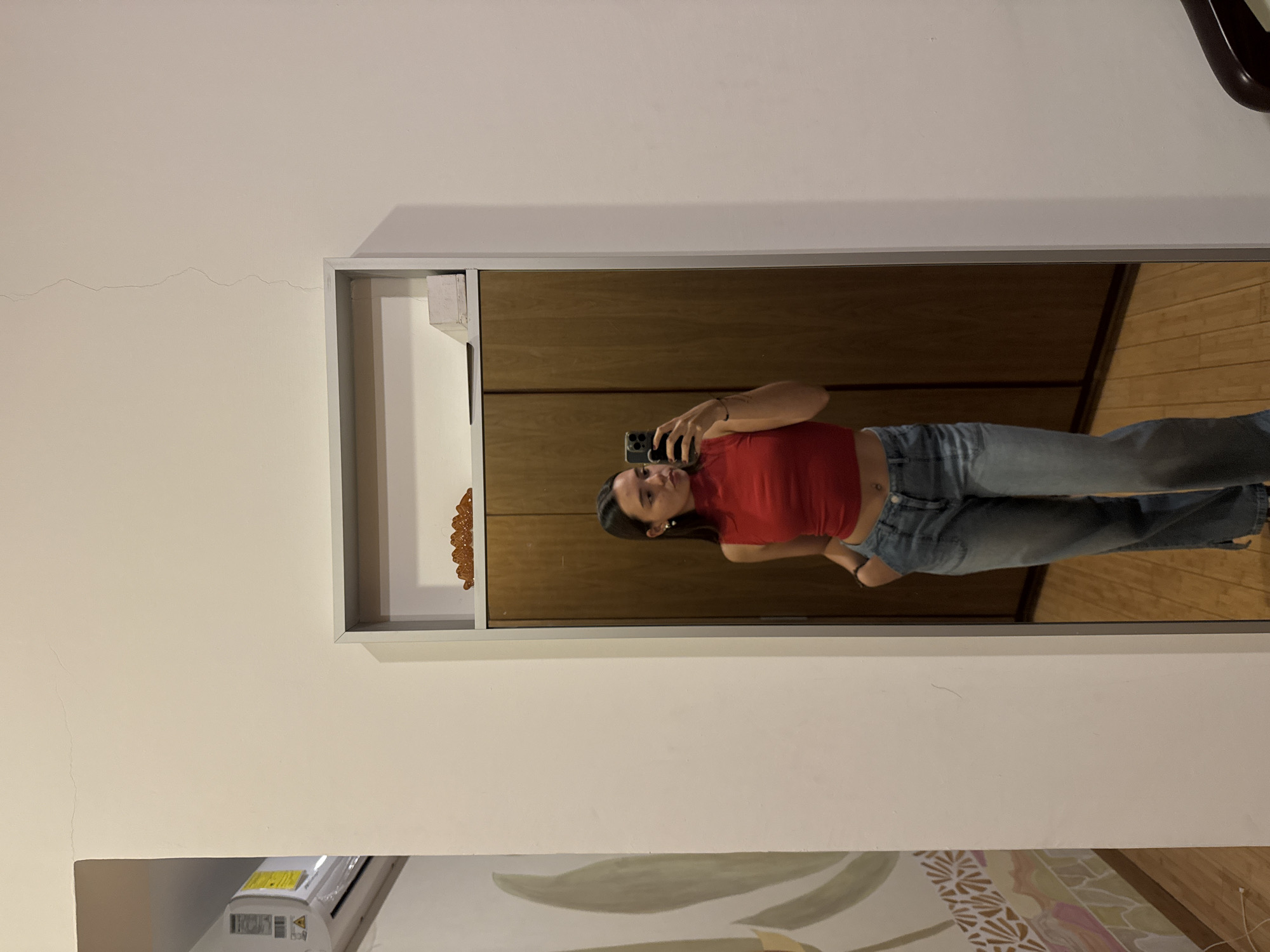 A person stands in front of a wall-mounted mirror, taking a selfie with a smartphone. The person is wearing a red top and blue jeans. Reflected in the mirror is a wooden wall, and a wood-floored room. In the bottom of the image is an air conditioning unit and floral patterned wallpaper. A crack is visible on the plain wall. San Bernardino Tlaxcalancingo, Mexico is not determinable from this image.