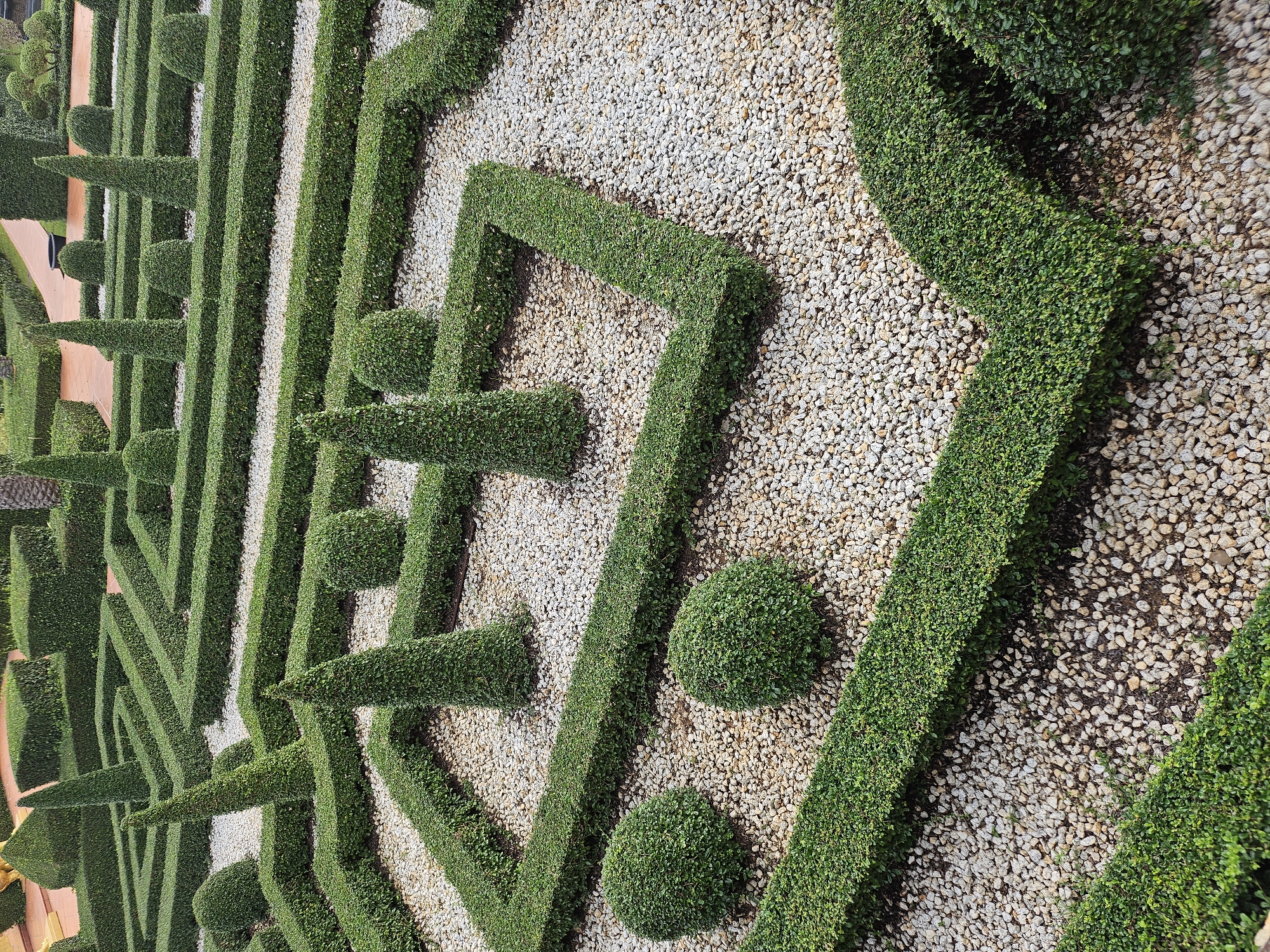 The image depicts a meticulously maintained garden with intricate hedge mazes and sculpted topiary. Located in Na Chom Thian, Thailand, the garden features precisely trimmed green hedges forming geometric patterns, including squares and sharp turns, interspersed with pathways covered in light-colored gravel. Several conical and spherical topiaries are strategically placed within the maze. The overall scene suggests a formal garden design, emphasizing precision and order, with a focus on evergreen foliage. No people are visible in the frame.