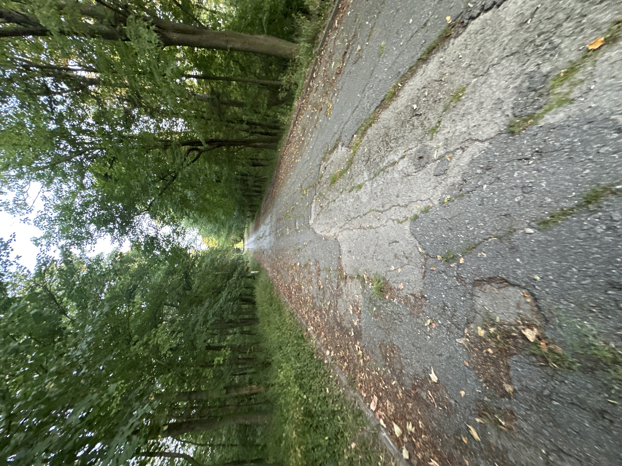 An asphalt road, in a state of disrepair with visible cracks and patches, winds through a dense forest of deciduous trees. The road is lined with lush green foliage on both sides, and scattered fallen leaves litter the surface. The scene appears to be in a rural or natural setting, possibly on the outskirts of Makiv, Ukraine. The lighting suggests it is daytime, with a slightly overcast sky filtering through the tree canopy. There are no people or vehicles visible in the image.