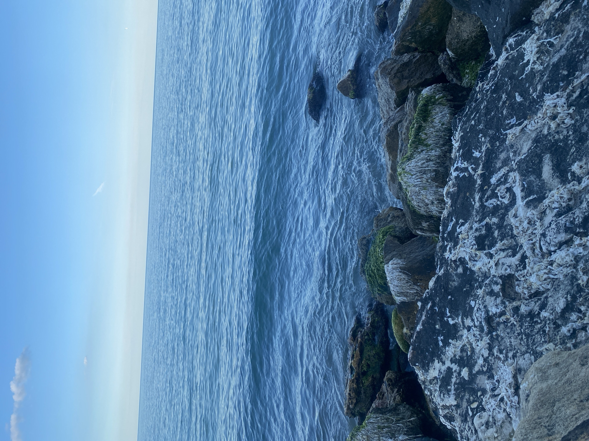 The image shows a rocky shoreline with the sea in the background. The water is a deep blue, with small waves lapping against the rocks. The rocks are covered in seaweed and barnacles. In the distance, the horizon is visible, with a clear blue sky above. The scene is likely located along the coast of Varna, Bulgaria, known for its scenic beaches and rocky shores. The image captures a natural, undisturbed environment. There are no people or man-made objects visible in the frame, suggesting a serene and peaceful setting. The focus is on the raw beauty of the seascape, with emphasis on the textures of the rocks and the movement of the water.