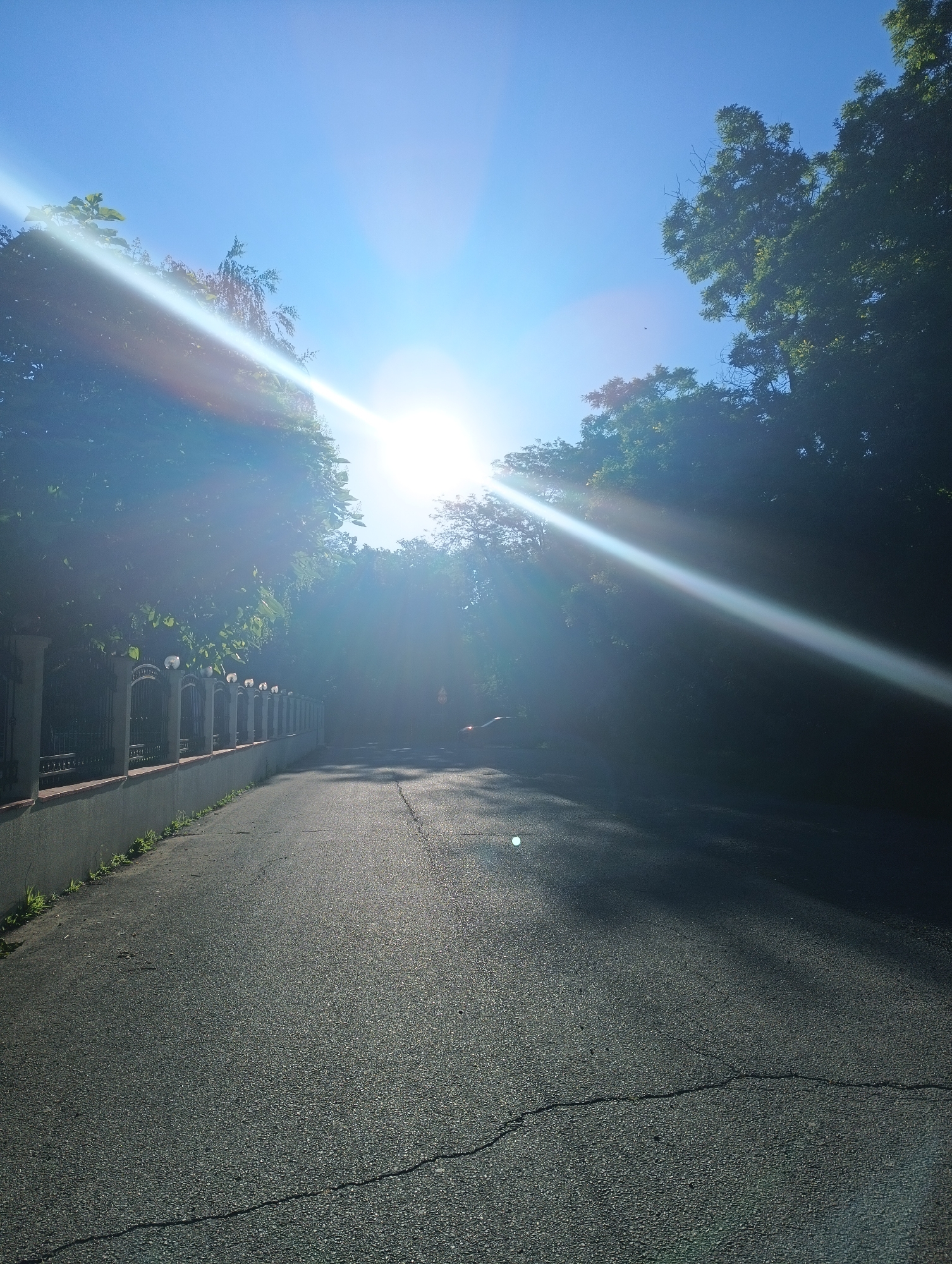 A sun-drenched, paved road curves through a treelined area. On the left, a low stone wall topped with a decorative metal fence runs along the road, with intermittent lampposts. Lush green trees with dense foliage line the right side of the road and form a canopy overhead. The bright sun is directly overhead, creating strong lens flares and casting shadows across the asphalt. The sky is a clear, bright blue. The scene is likely a quiet, tree-lined street or park in Karnobat, Bulgaria, during daylight.