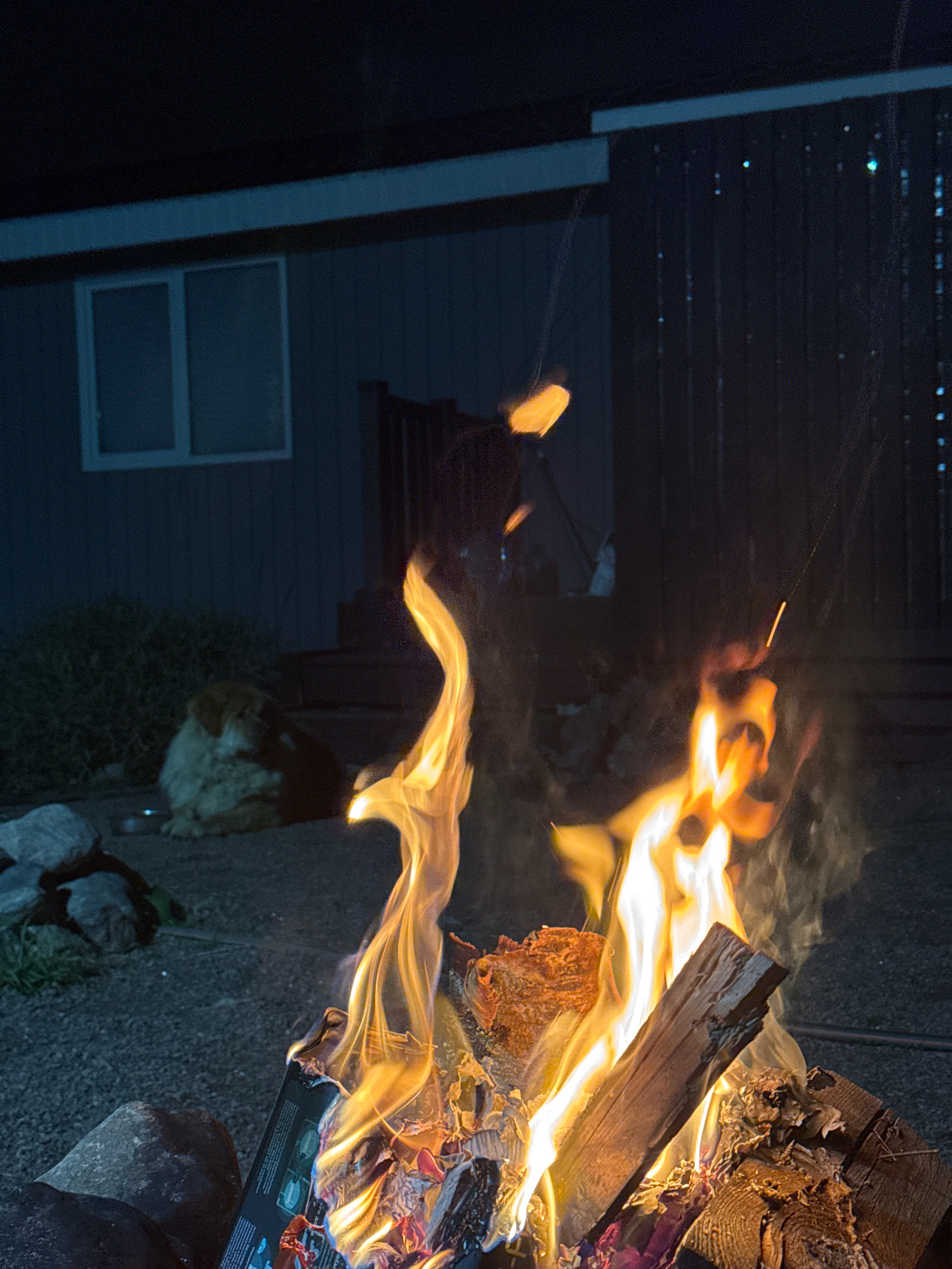This image depicts an outdoor nighttime scene in what is stated to be Kempelevo, Russia. In the foreground, a bonfire is burning intensely, with flames illuminating logs and what appears to be burning paper or cardboard. The fire is casting a warm glow on the surrounding gravel ground and rocks. To the left of the bonfire, a medium-sized dog with light-colored fur and darker patches is lying down, looking towards the fire. In the background, a building with siding and a window is visible, with a dark porch and railing. The overall atmosphere is dark and smoky, consistent with a fire burning at night.