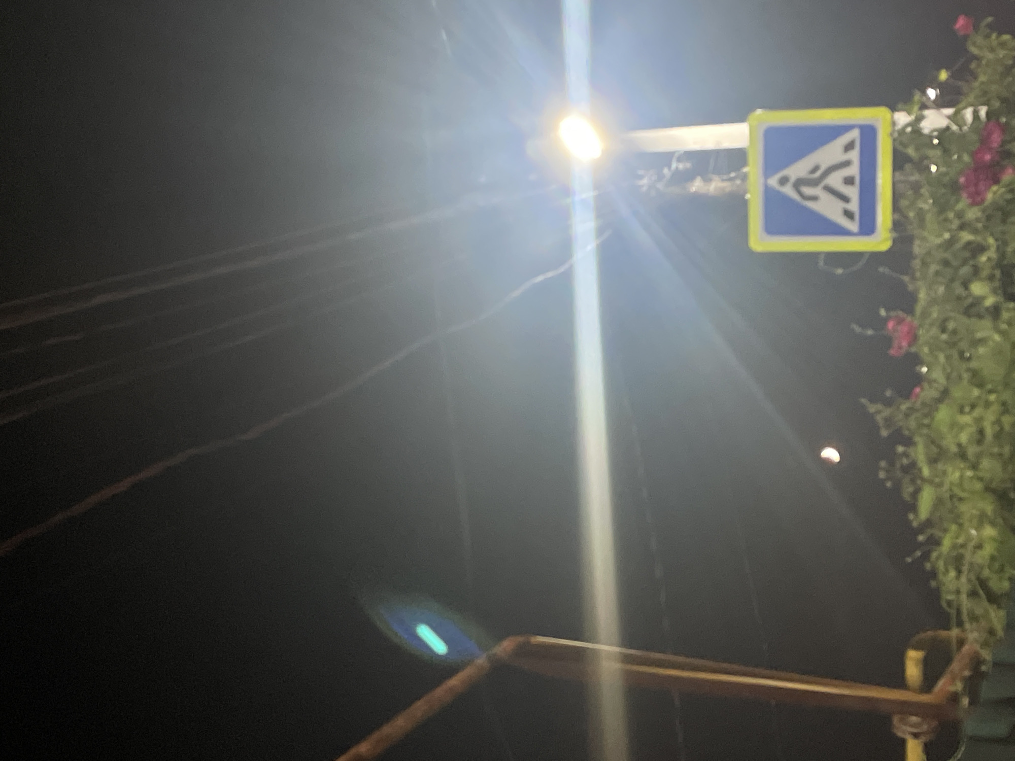 The image is a nighttime outdoor scene, likely in the city of Almaty, Kazakhstan. A bright street light illuminates the scene, casting light rays. In the foreground, there is lush green foliage with some pink flowers, suggesting a park or landscaped area. A yellow and blue pedestrian crossing sign is visible, mounted on a pole. Above, thin power lines stretch across the dark sky, and a sliver of the crescent moon is visible in the upper left portion of the frame. There's a faint blue-green lens flare in the upper left, and a bright horizontal light streak cuts across the image. A metallic yellow structure, possibly part of a fence or railing, is partially visible on the left side of the frame. No people are depicted in the image.