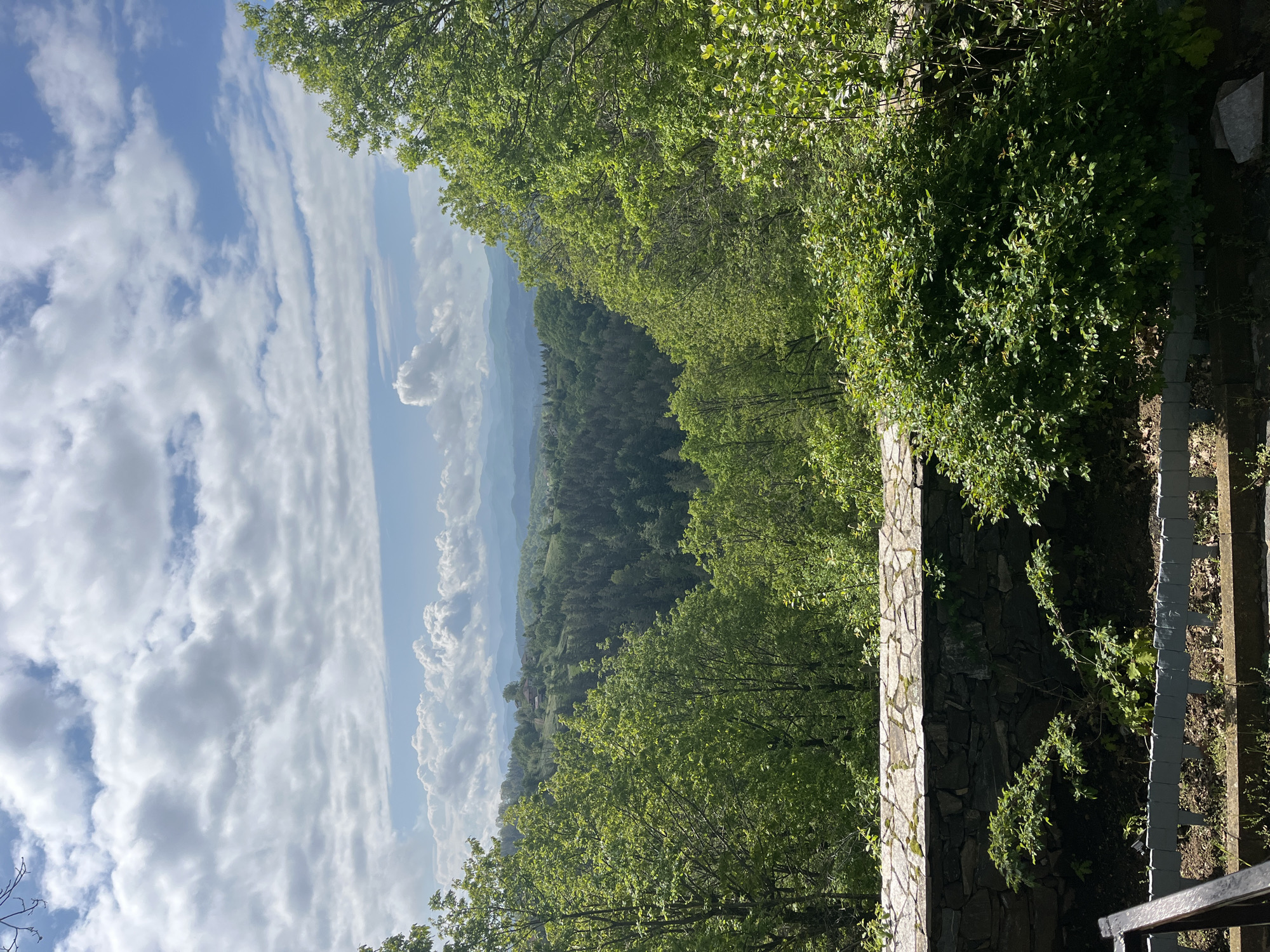 The image depicts a natural landscape, likely a scenic overlook in Presoka, Bulgaria. Lush green vegetation, predominantly trees, dominates the foreground and mid-ground. In the distance, layers of mountains fade into the hazy horizon beneath a sky filled with scattered white clouds. A stone wall and railing are visible on the right side of the image, suggesting a constructed viewing platform. The orientation of the image is vertical, implying it may have been taken with a mobile device. There are no visible people or animals in the scene.