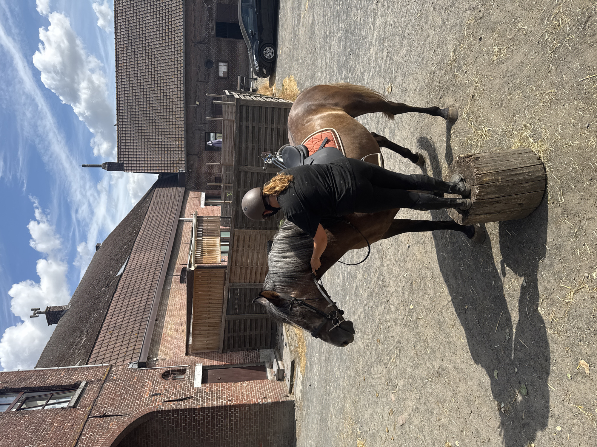 A person in a black shirt, black leggings, and a brown helmet is standing on a wooden stump, adjusting the bridle of a brown horse. The horse is wearing a saddle with an orange pad. They are in a dirt courtyard with scattered straw. In the background, there are brick buildings with tiled roofs, a wooden fence, and a black car parked. The scene appears to be a farm or equestrian facility. The location is Estaimpuis, Belgium.