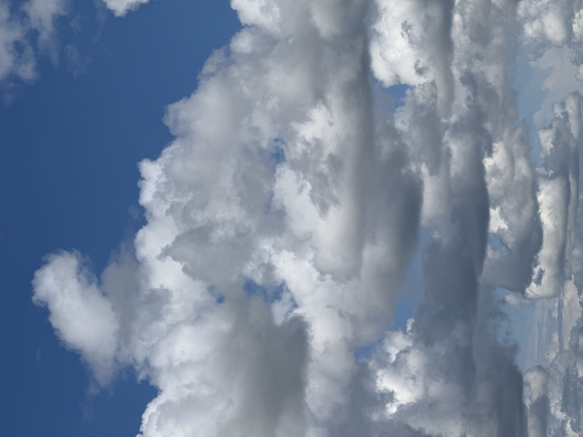 The image is a close-up, low-angle photograph of a cloudy sky above the city of Maldykasy, Russia. The sky is a vibrant blue, filled with a variety of white and gray cumulus clouds. Some clouds are bright and fluffy, while others are darker and more ominous, suggesting potential changes in weather. There are no people, animals, buildings, or any other objects visible in the frame, making it a pure landscape shot focusing solely on the atmospheric conditions. The composition emphasizes the scale and texture of the clouds against the clear blue sky.