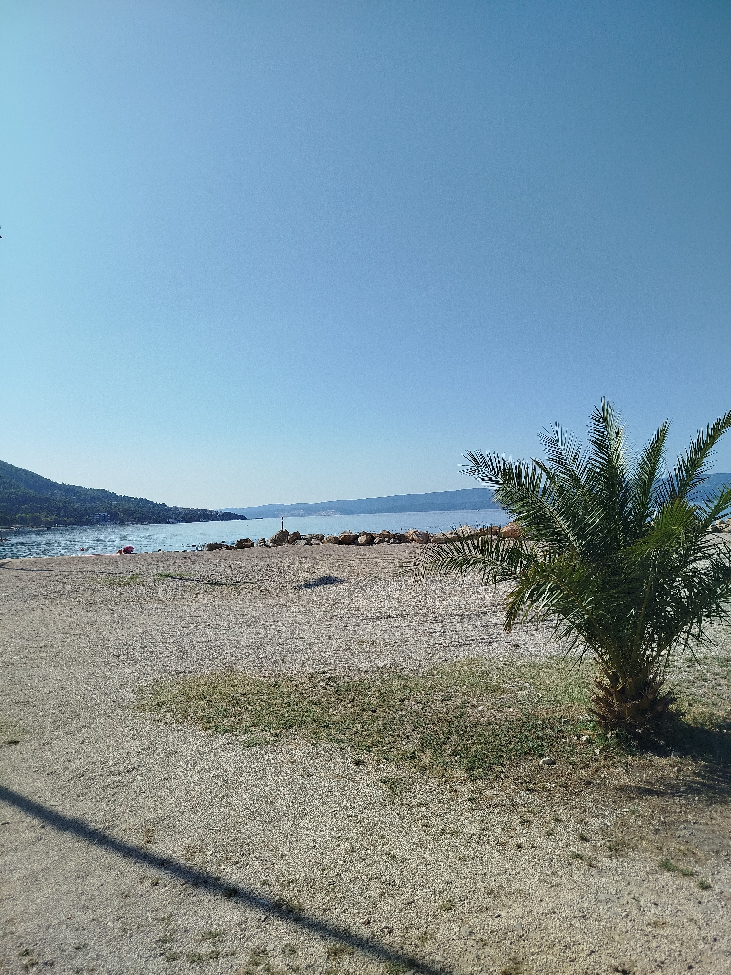 The image depicts a tranquil beach scene under a clear, bright blue sky. In the foreground, a sandy and pebbly beach stretches across the frame, with a solitary palm tree standing to the right, casting a shadow on the ground. The middle ground reveals a calm, sparkling blue sea, meeting a distant shoreline lined with green hills and some buildings. A few rocks are visible along the edge of the water. In the distance, mountains form a hazy backdrop. A person in a pink garment can be seen lying on a mat near the water's edge. The overall impression is one of a peaceful, sun-drenched day by the coast. The location is the city of Omiš, Croatia.