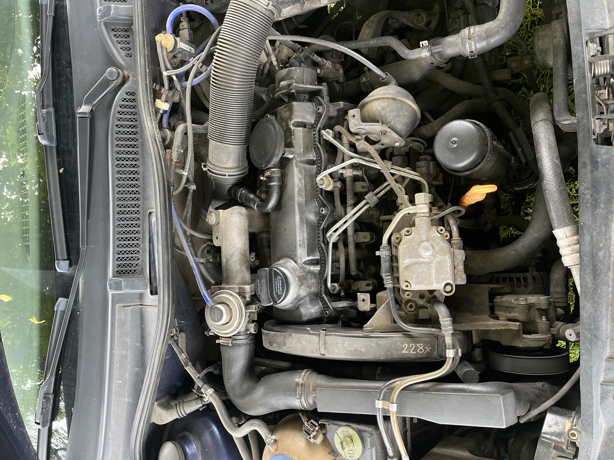 The image shows an engine compartment of a car. The engine is a diesel engine, judging from the injector lines and fuel filter placement. The engine appears to be dirty. There are various hoses, wires, and components visible within the engine bay. The car's body is dark blue. The image provides no indication of the location in Shopite, Bulgaria or any people, subjects, actions, or interactions.