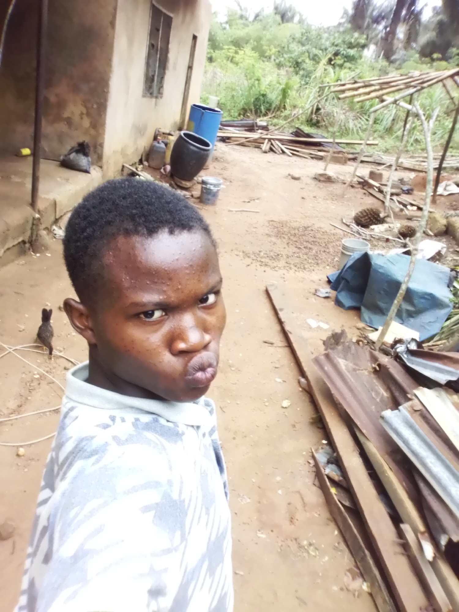 A young man with short, dark hair is facing the camera with pursed lips, against the backdrop of what appears to be a rural or semi-rural scene in Alayi, Nigeria. A small chicken is visible near the man. Behind him, there's a weathered building, blue and black plastic barrels, and other containers. Further back, a wooden structure stands amidst scattered lumber, corrugated metal sheets, and a blue tarp. The ground is earthy and appears to be a yard or open space.