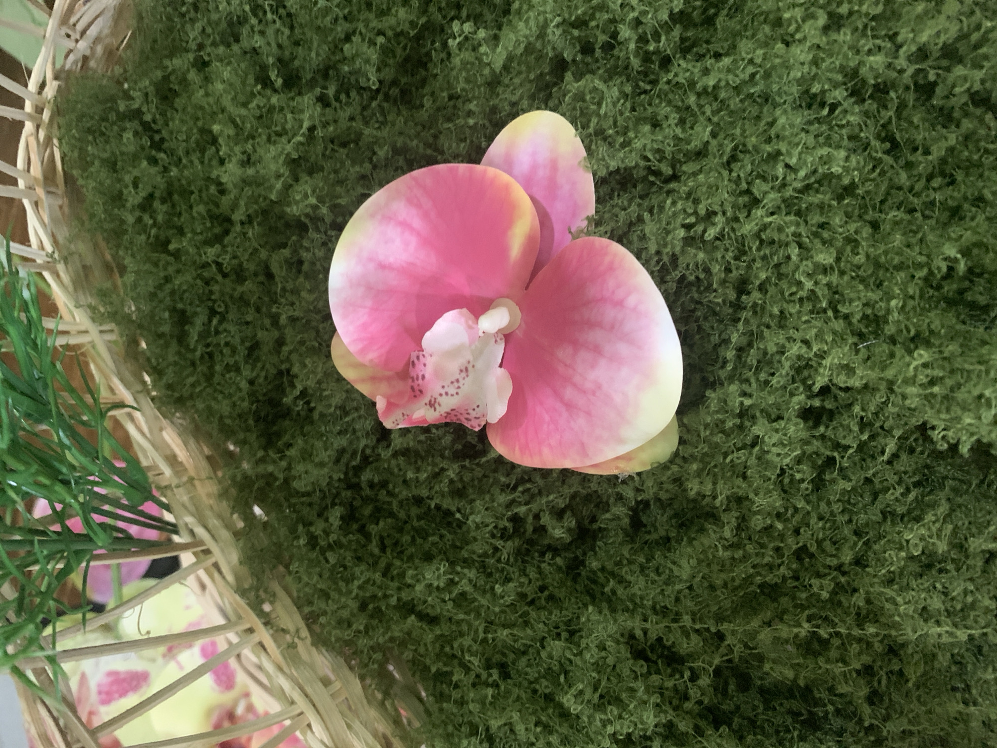An artificial pink orchid rests on a bed of green moss. The orchid has pink petals with yellow accents and a white center with pink speckles. The moss is textured and appears to be artificial as well. In the background, a woven basket is visible, containing some greenery and what appears to be other artificial flowers. The scene is illuminated by natural light, casting soft shadows. There are no people present in the image. The specific location in Kuala Pembuang, Indonesia, is not discernible from the image itself.