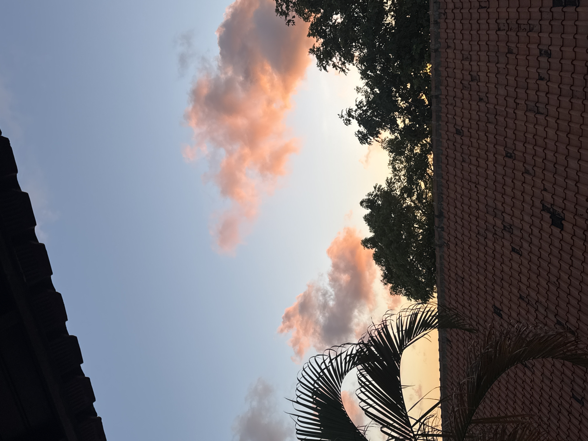 The image, potentially taken in Ungasan, Indonesia given the prompt, captures a view upwards towards the sky at dusk. Pink-tinged clouds are visible against a blue sky. Framing the sky are elements of the built environment and vegetation: a dark roof on the left, a red tile roof on the right, and a tree line in the top center. Palm fronds are visible in the lower portion of the image. No people are visible.