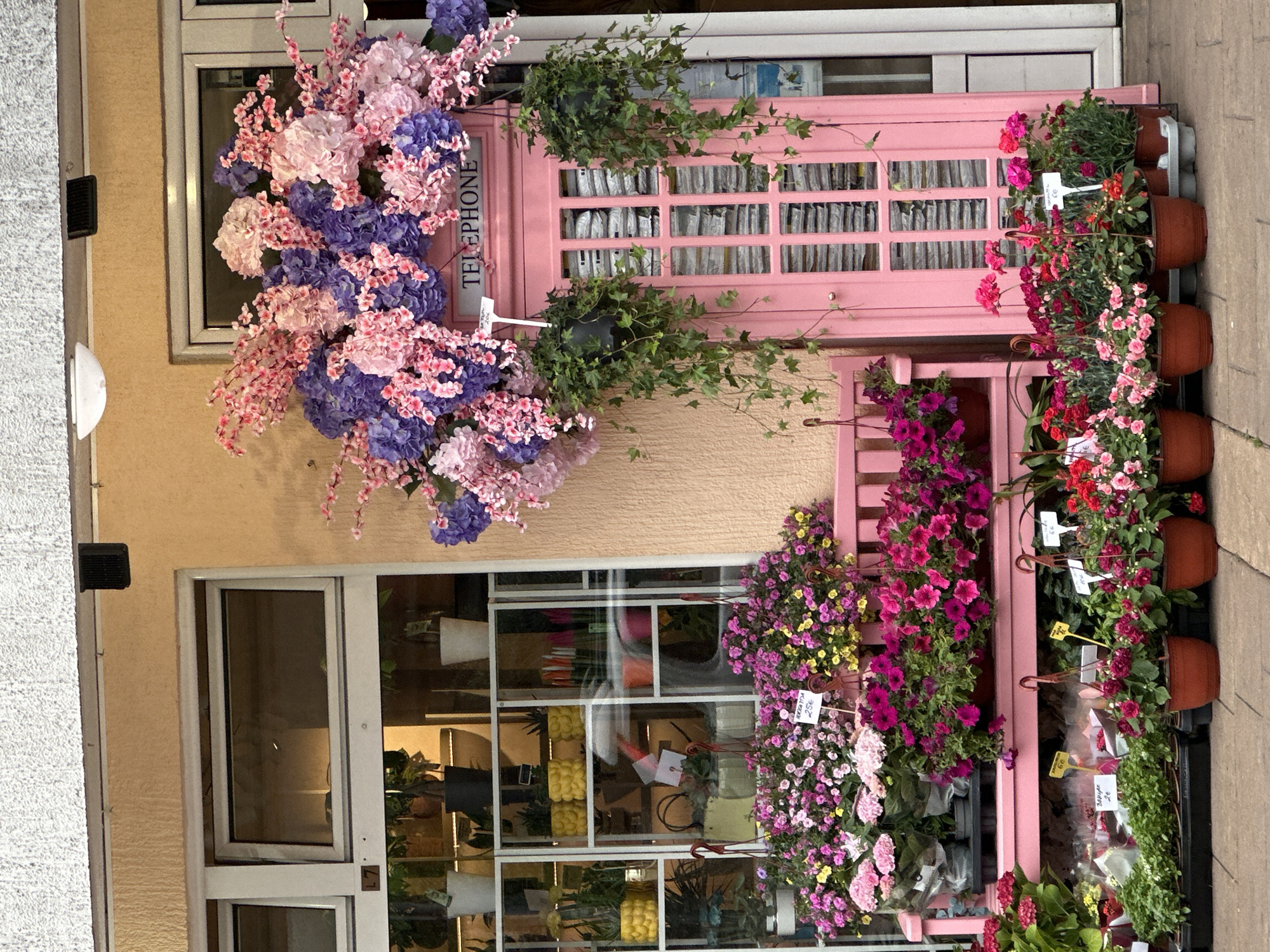 Exterior of a building in Donji Pobori, Montenegro. A pink telephone booth attached to the building facade is adorned with flowers and plants. Windows display potted plants for sale. The booth is labeled "TELEPHONE" on the side.