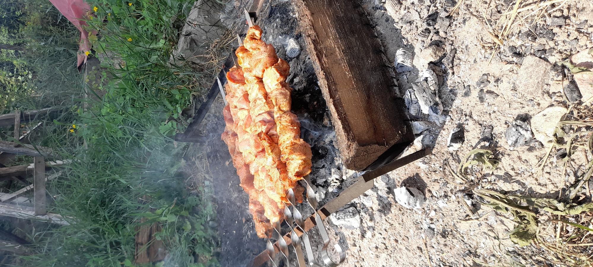 In an outdoor, overgrown area with green grass and some dry vegetation, skewers of raw, marinated meat are being grilled over hot coals. The meat appears to be pork or chicken, cut into cubes and threaded onto metal skewers. The skewers are resting on a makeshift grill, possibly made from metal rods, positioned above a bed of glowing charcoal and ash. A thick log of wood sits to the right of the grill, also surrounded by ash. Smoke rises from the grilling meat and the coals, indicating the cooking process is underway. The background consists of dense foliage and a weathered wooden structure, suggesting a rustic or natural setting.