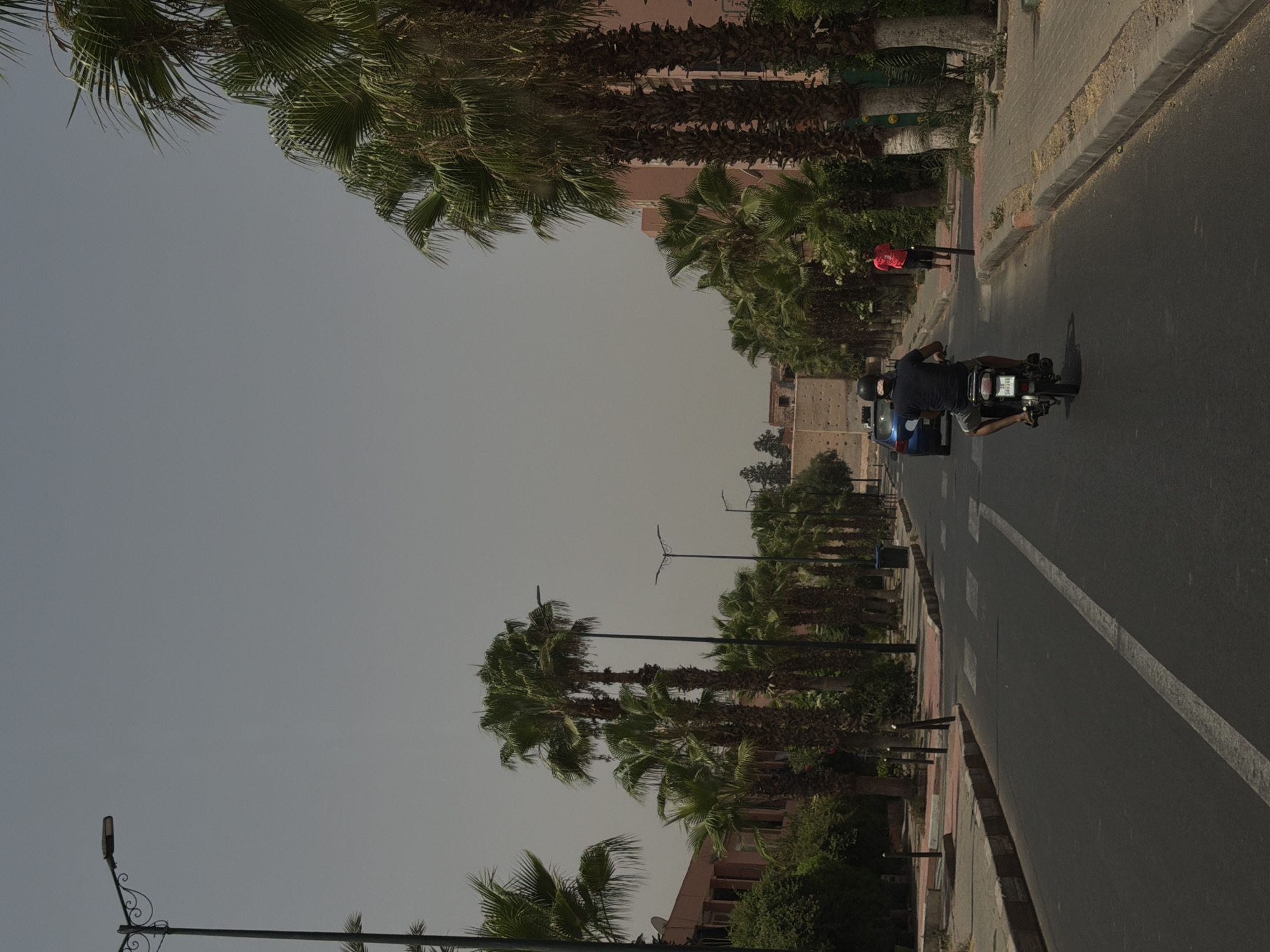 The image depicts a street scene in Mechouar Kasbah, Morocco, under a hazy, overcast sky. A man wearing a black helmet and a dark t-shirt is riding a motorcycle with a license plate visible. He is moving away from the camera down a paved road with a white line marking the lane. On the right side of the road, a woman in a bright pink t-shirt and dark shorts stands on the sidewalk. A blue car is visible further down the road in the left lane. The street is lined with numerous palm trees on both sides. Buildings with reddish facades and some greenery are visible behind the palm trees on the left. The sidewalk is paved with interlocking bricks and bordered by a concrete curb. Lamp posts are intermittently placed along the street.