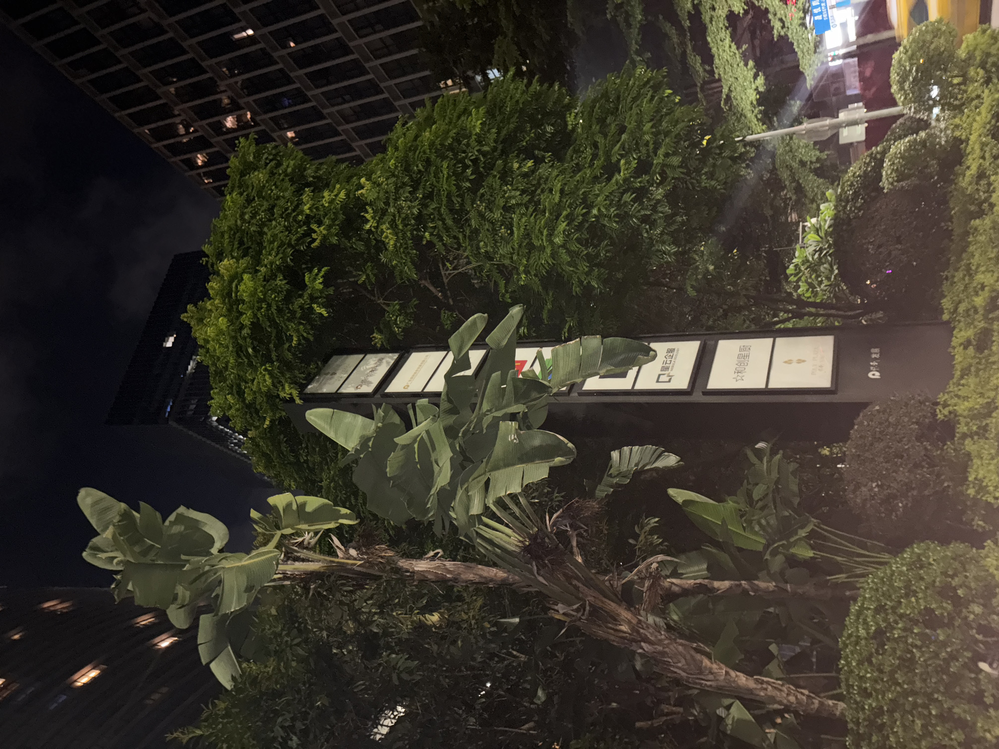 This media file depicts an outdoor scene at night, with a focus on lush greenery and modern architecture. The foreground is dominated by large, tropical leaves, likely from a banana plant or similar species, which are a vibrant green despite the low light conditions. Behind these leaves, a series of illuminated panels are visible, suggesting a commercial or informational display.
The backdrop features a building with a grid-like facade, illuminated by interior lights that create a pattern of squares against the dark sky. The building appears to be a tall, modern structure, characteristic of an urban environment. To the right of the building, more dense foliage and manicured bushes are present, adding to the lush and somewhat tropical feel of the setting.
The time of day is clearly night, as indicated by the dark sky and artificial lighting. The overall impression is one of a well-maintained urban landscape, possibly a park, plaza, or the grounds of a commercial establishment in a city. The lighting suggests it is well after sunset, with the scene being illuminated by a mix of building lights, the display panels, and potentially streetlights further in the background.
Visible text on the illuminated panels includes what appear to be Chinese characters and possibly some Western script. One panel clearly shows characters that translate to "Star Creation" and another with "Star Creation Enterprise". There is also a logo with a stylized "P" on one of the panels.
The location context of Haizhu District, China, aligns with the visual cues of a modern Chinese urban environment with significant greenery. There are no people or specific activities discernible in the image, but the overall mood is calm and perhaps a little mysterious due to the nighttime setting and the interplay of light and shadow. The scene is likely static, captured as a still image.