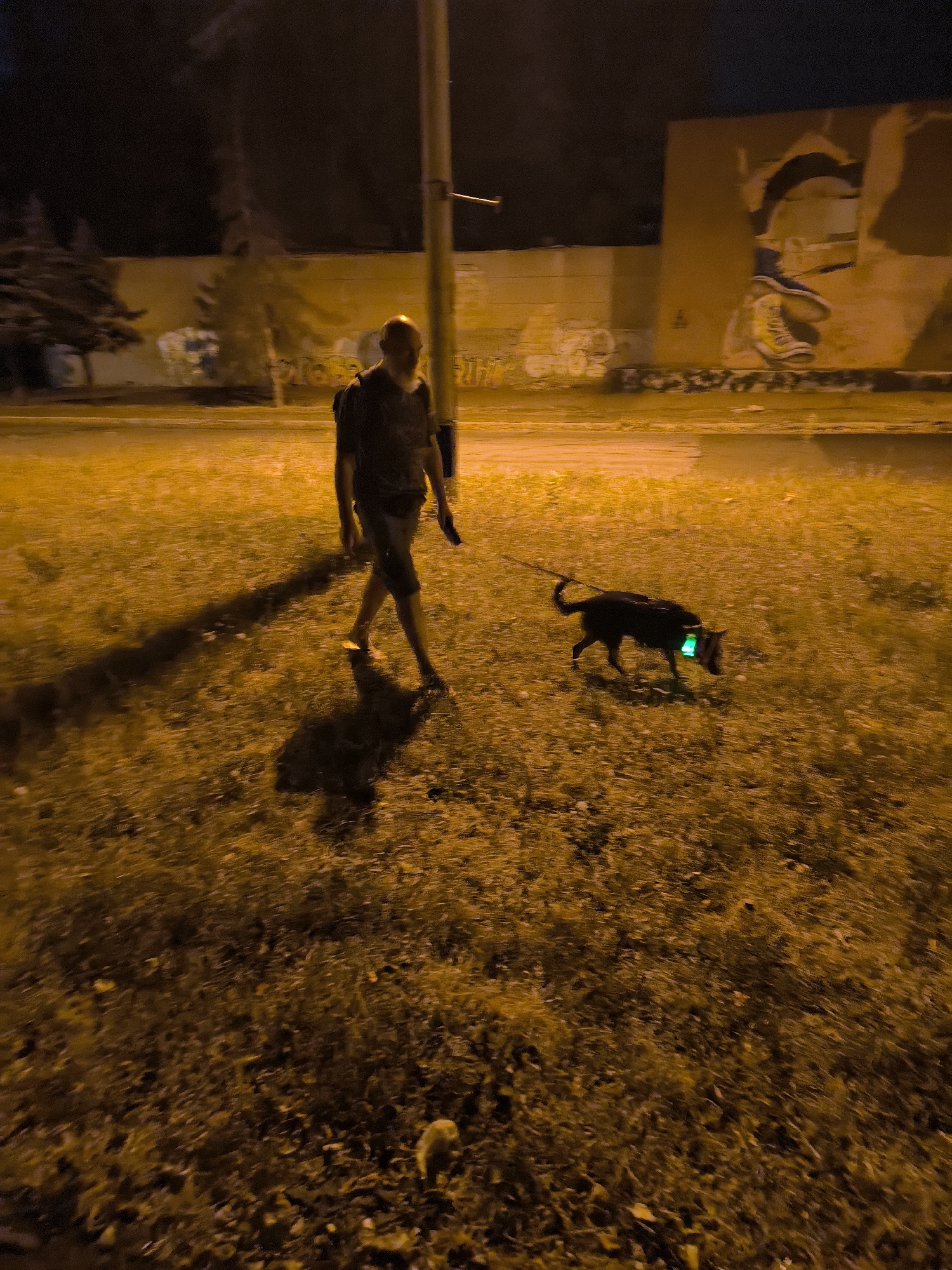 A person walks a dog at night on a grassy area next to a road. The person is wearing a dark shirt and shorts, and the dog is black with a green light on its collar. In the background, there is a wall with graffiti and a street lamp. The scene is illuminated by artificial light, casting long shadows. The location is in the city of Mykolaiv, Ukraine.