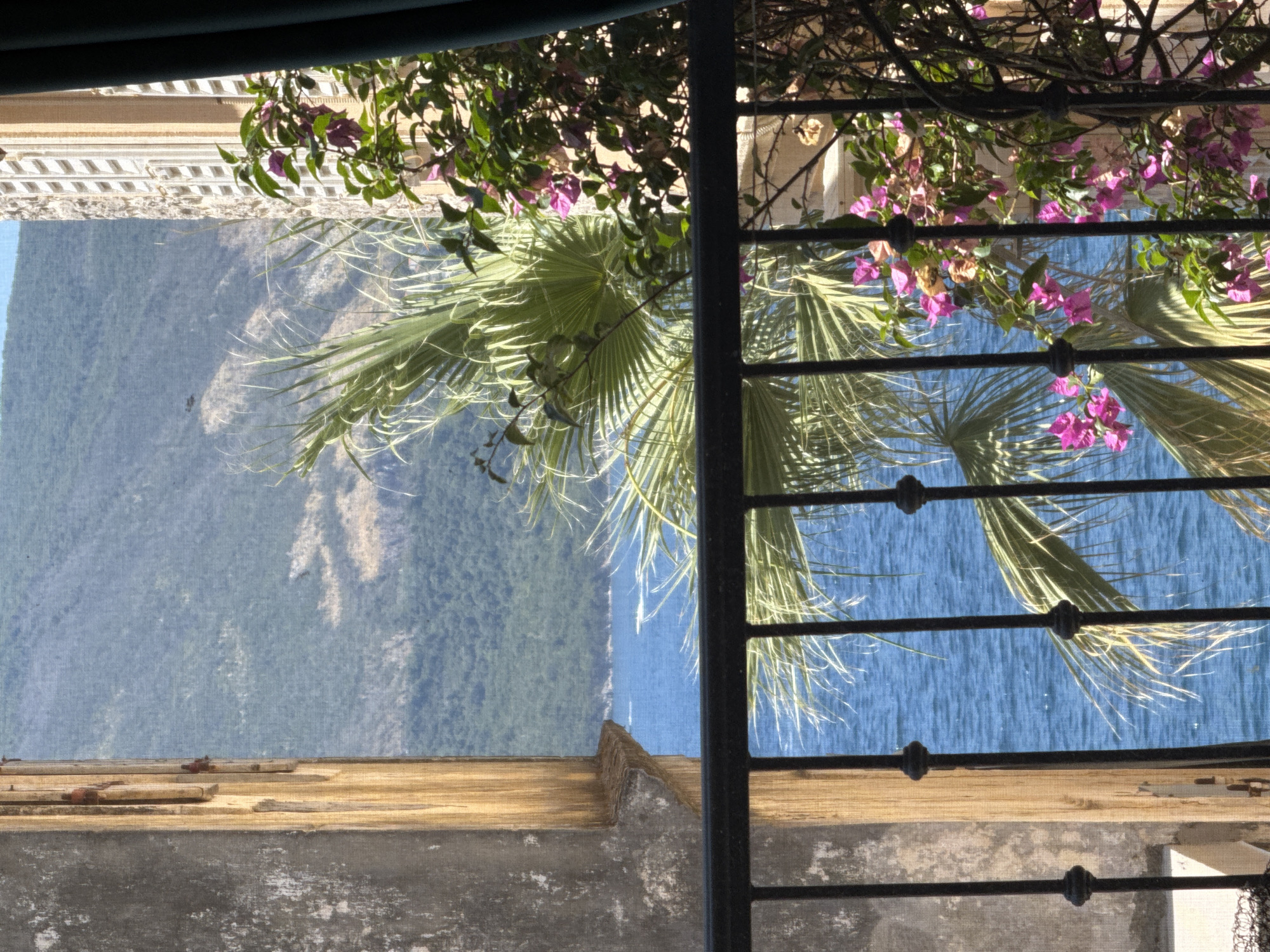 The image shows a view of the sea and a hillside from a window or balcony. In the foreground, there is a black metal railing. To the left, a stone wall with wooden framing is visible. On the right, a building with ornate architectural details and a dark green curtain is present. Lush green foliage with pink flowers, likely bougainvillea, and a palm tree are in the middle ground, obscuring part of the view. The sea is a vibrant blue with some whitecaps, and in the distance, a green, mountainous landscape is visible. The overall impression is a scenic view from a Mediterranean-style location.