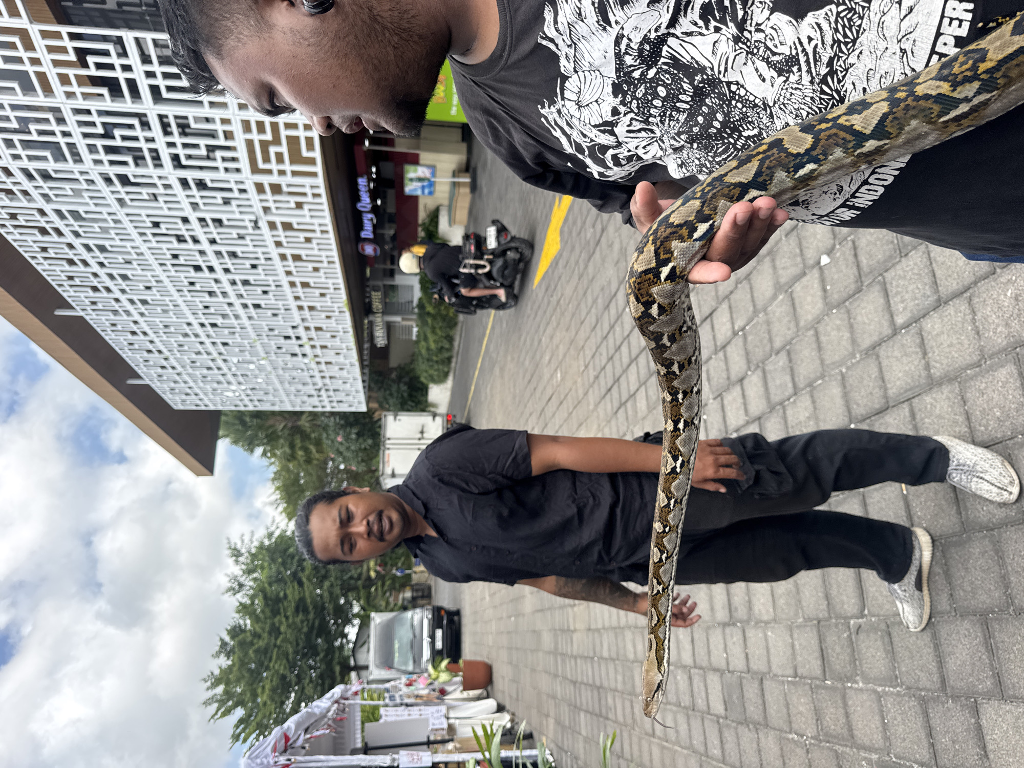 In Kuta Selatan, Indonesia, on an overcast day, a man in a black short-sleeved shirt and black pants stands on a paved walkway. He is holding a large python, which drapes across his arm and chest. His left arm is extended forward, supporting the snake's head and neck, with its tongue flicking out. His right hand is near the middle of the snake's body. Another man, wearing a black t-shirt with a graphic print, is visible in the foreground on the right, also holding the snake with his right hand. In the background, a modern building with a white, geometric facade stands prominently. Below this building, signs indicate "Dairy Queen" and "Tanah Lot Coffee". A person on a motorcycle is seen riding past the Dairy Queen. The walkway is made of gray interlocking pavers. Trees and foliage are visible behind the people and to the left. White tents or stalls are set up on the left side of the walkway. Vans are parked on the street behind the first man.