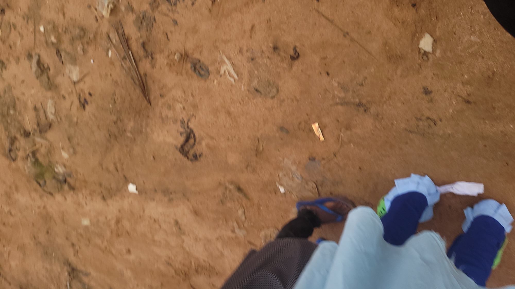 The image shows a ground level view of a sandy area, likely in Jalingo, Nigeria. The ground is predominantly brown sand with scattered debris, including dry leaves, twigs, and small pieces of plastic or paper. In the lower left quadrant of the image, a person's legs and feet are visible. They are wearing blue socks with green accents on the toes, and a pair of blue flip-flops. A light blue garment, possibly fabric, is draped over their lower legs. The person appears to be standing or walking on the sandy ground. The overall impression is of an outdoor environment, possibly a street, path, or undeveloped area within the city of Jalingo. The lighting suggests it is daytime, and the image is slightly blurred, indicating movement or a less than perfect focus.