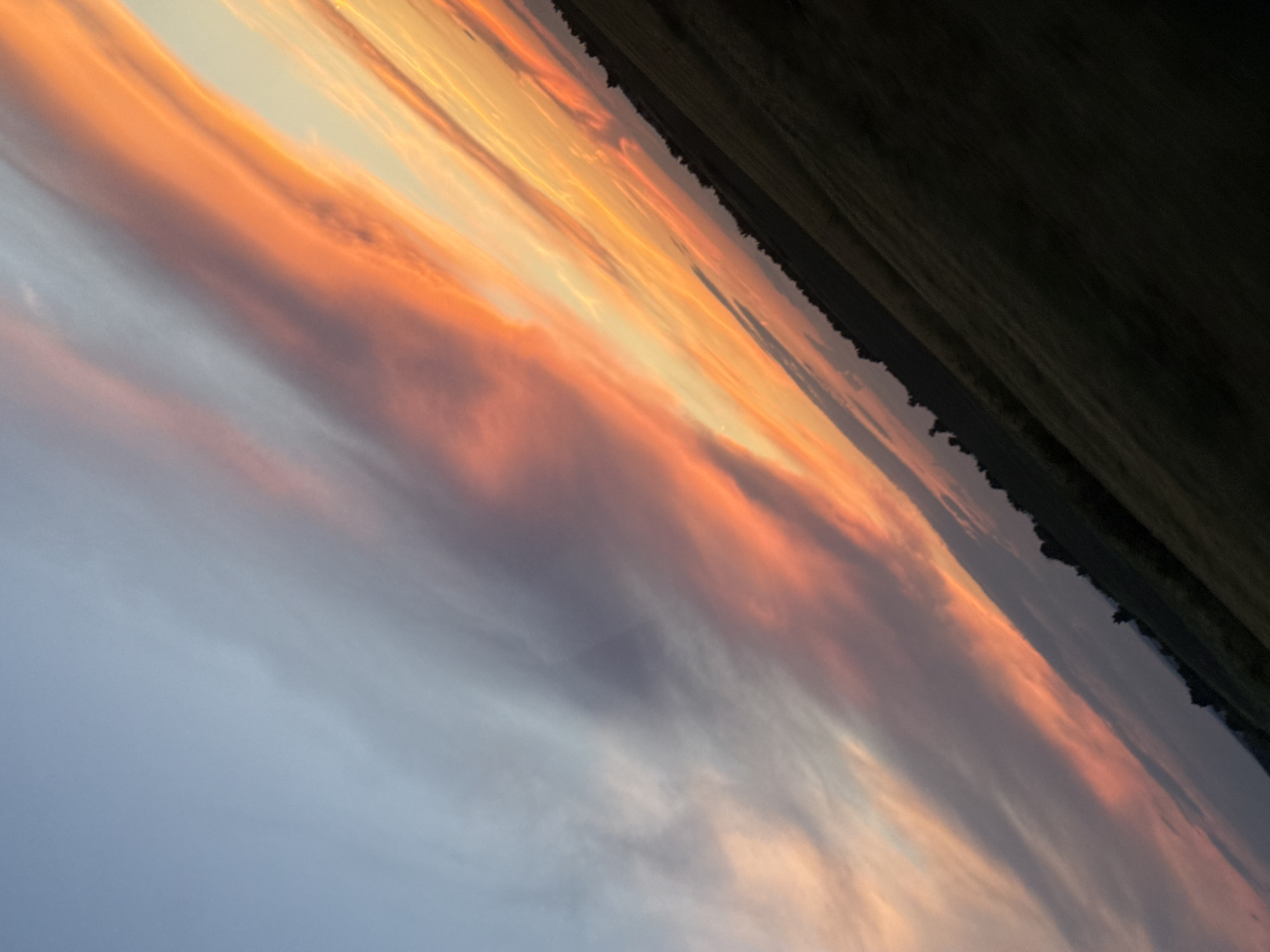 A diagonal, low-angle shot captures a vibrant sunset over a rural landscape. The sky is filled with streaks of fiery orange and pink clouds, transitioning to a soft blue at the top left. Below the dramatic sky, a dark, silhouetted treeline runs horizontally across the middle of the frame, dividing the sky from the dimly lit ground. The ground appears to be a sloping field, the texture of grass or crops barely discernible due to the low light. The image is a photograph taken in Izvor, Bulgaria. There are no people or specific objects in focus, the primary subjects being the natural elements of the sky and landscape.