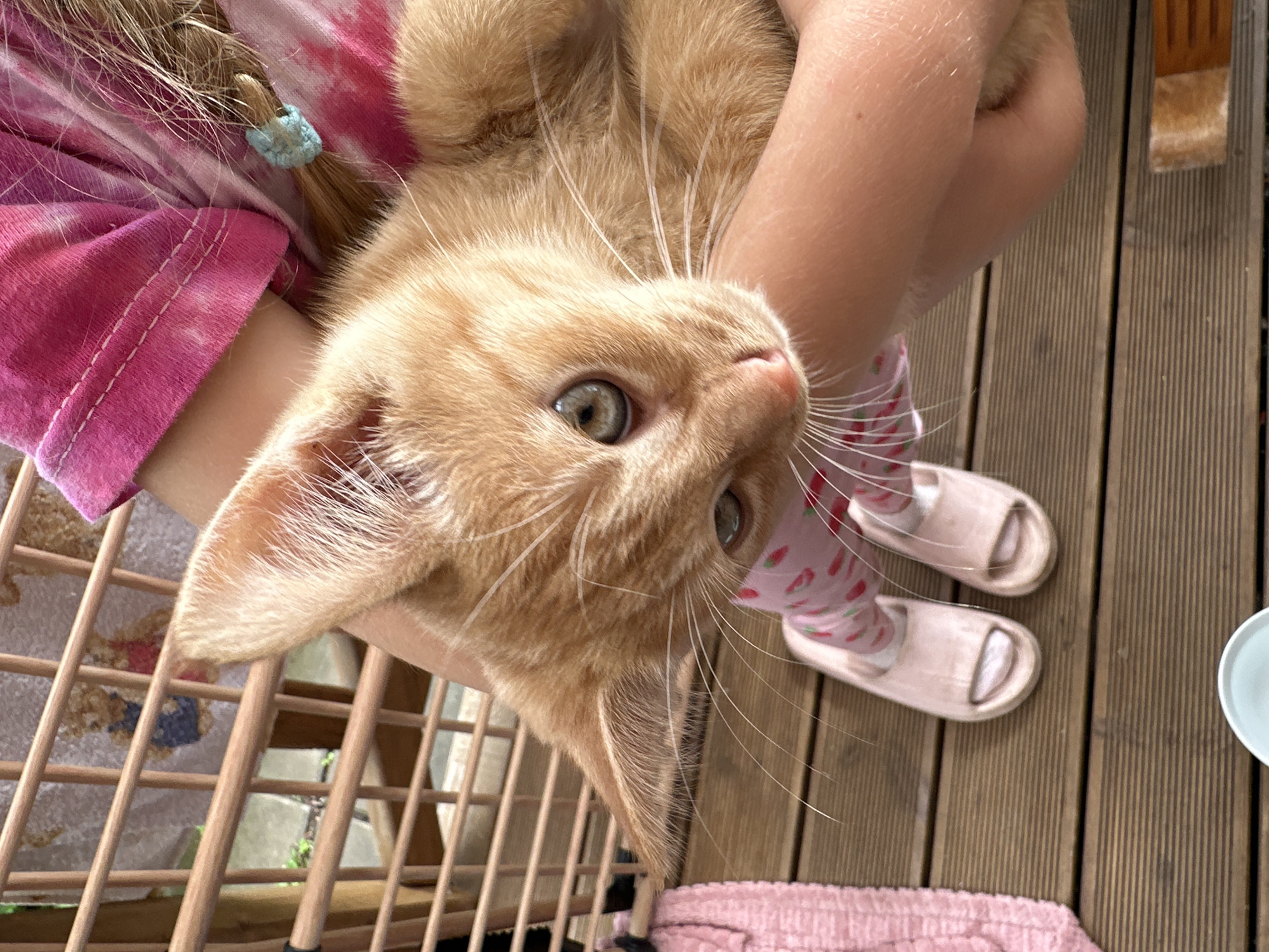An orange tabby kitten is being held by a person wearing a pink tie-dye shirt and pink slippers with a strawberry pattern. The kitten's face is close to the camera, with its eyes wide open and looking to the side. The person's arm is visible, supporting the kitten. The background consists of a wooden deck, a slatted wooden chair, and a pink towel. The scene appears to be outdoors in a residential area. There is no indication of the city of Vilnius, Lithuania, in the image.