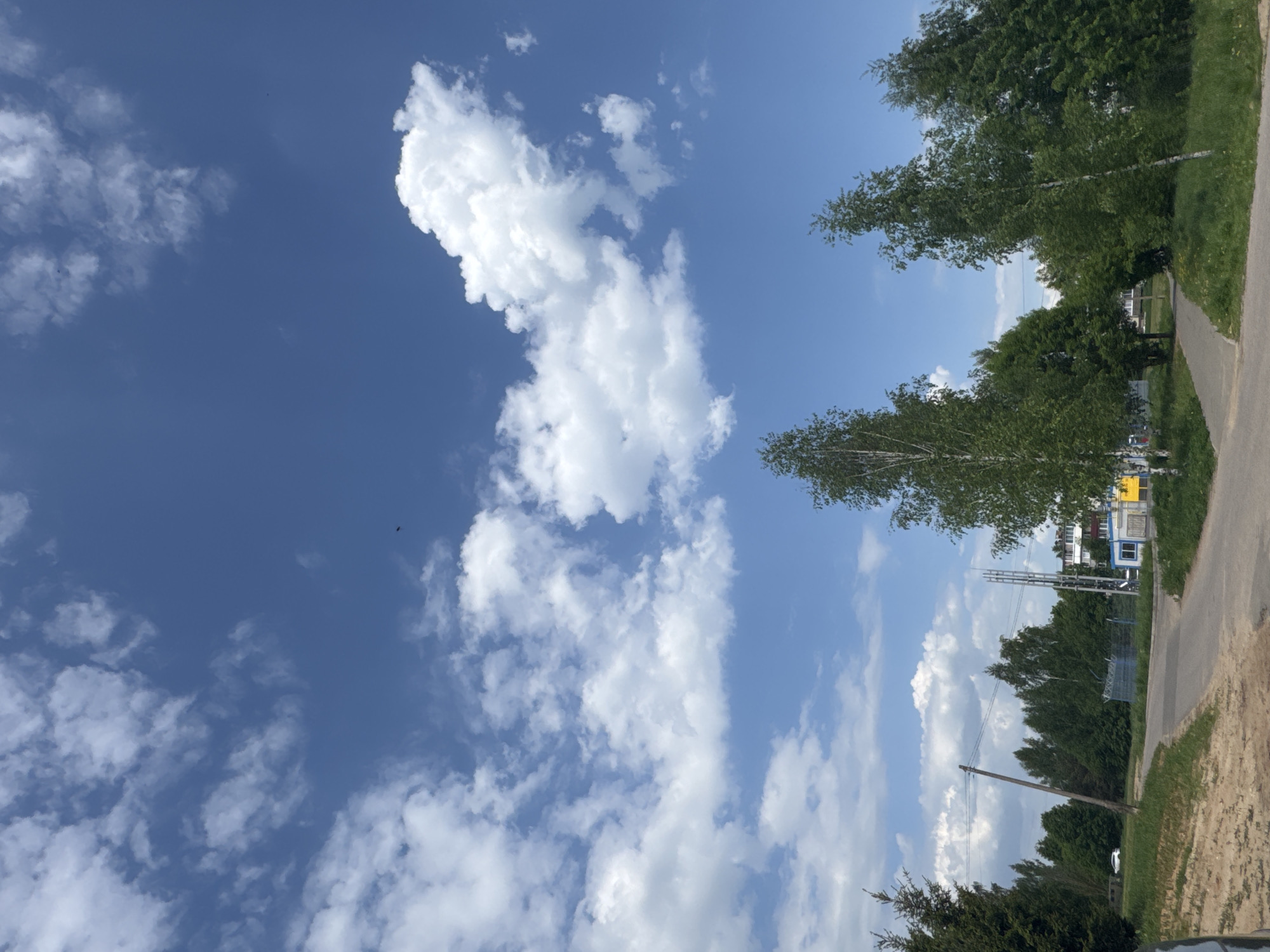 The image shows a partly cloudy sky over a location in Shevlyakovo, Russia. The sky is a deep blue with scattered white clouds, some appearing large and puffy. Trees line what seems to be a road or pathway on the right side of the frame. In the background, utility poles and some buildings can be seen among the trees. The environment suggests an outdoor setting, possibly a park or a residential area on the outskirts of the city.