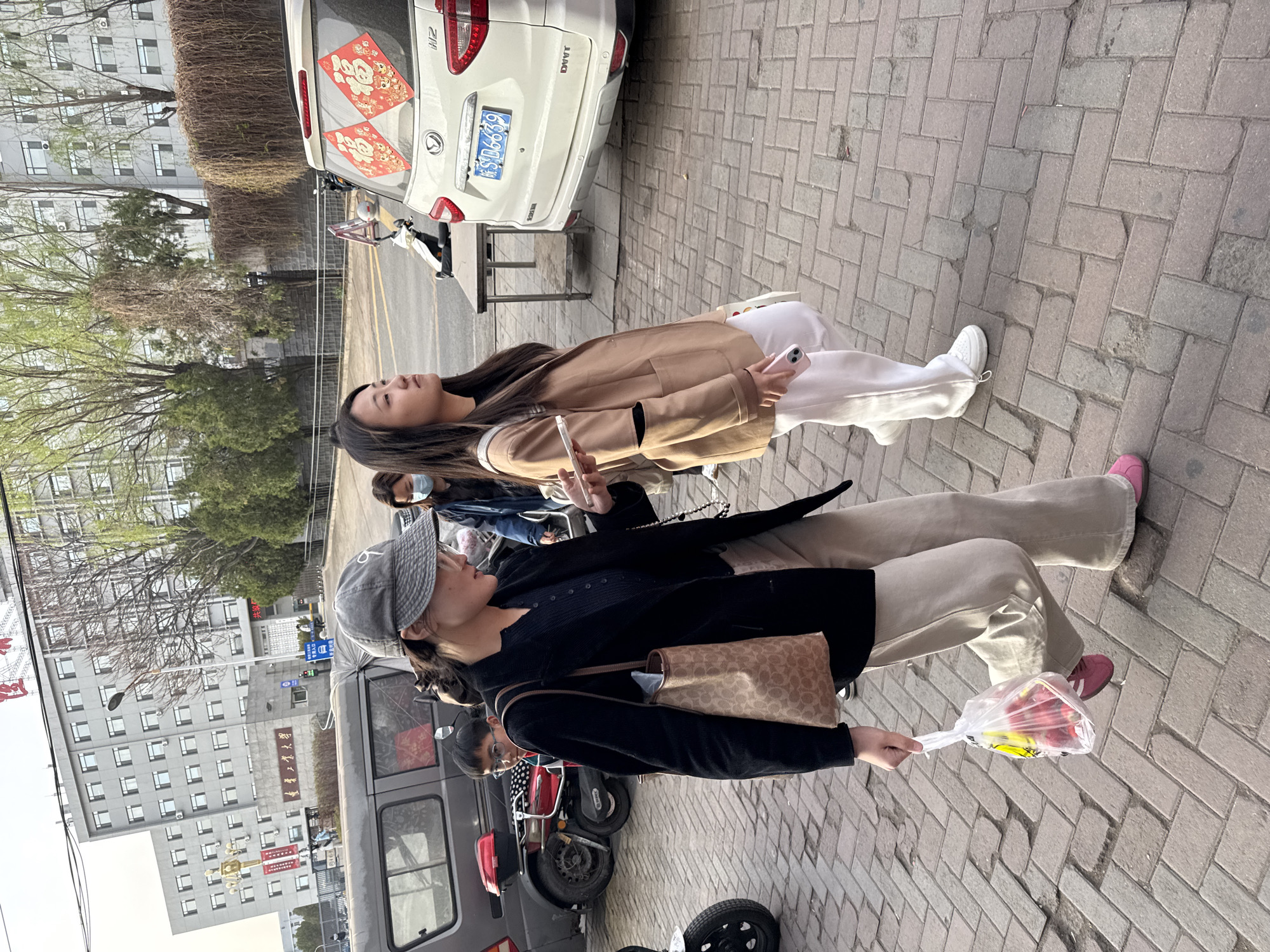 The image captures a vibrant street scene in Zhongtun, China, during the daytime under clear skies. Two women are walking on a paved sidewalk, with one slightly ahead of the other.
The woman in the foreground is wearing a black long-sleeved top or jacket, light beige wide-leg pants, and pink sneakers. She has a grey patterned baseball cap and carries a beige patterned shoulder bag. In her left hand, she holds a clear plastic bag containing several red items, possibly flowers or fruit.
Behind her, another woman walks in a tan-colored jacket, white pants, and white sneakers. She is holding a pink smartphone in her right hand and appears to be looking upwards. Her hair is dark and long.
In the background, a white SUV is parked on the street. Its rear window features two red festive decorations, likely Chinese New Year couplets, one depicting a character (possibly "福" for good fortune) and a tiger design. The SUV's license plate, "鲁SD6639" (Lu SD6639), is clearly visible. Text "DWVT" and "H12" are also visible on its rear. Further back, a grey van and several motorcycles/scooters are parked or driven.
The surrounding environment includes multiple-story buildings with numerous windows. On one of the buildings, the Chinese text "重庆交通大学" (Chóngqìng Jiāotōng Dàxué), which translates to Chongqing Jiaotong University, is clearly visible. Trees line the street, showing signs of new spring growth with light green leaves. Other people, some wearing face masks, are also present in the background. The scene suggests a typical urban setting with daily activities.