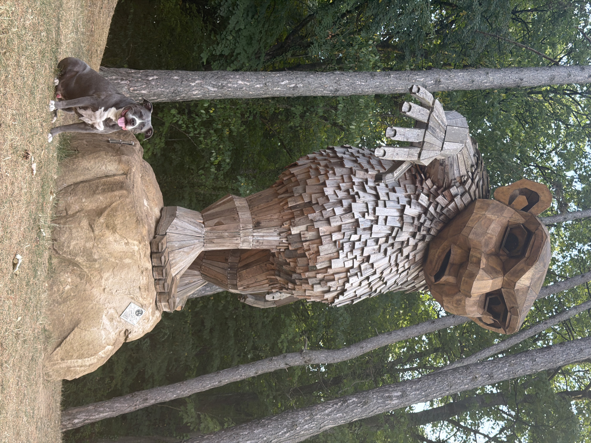 An enormous wooden sculpture of a troll stands imposingly on a large boulder in a forest setting. The troll is intricately crafted from numerous wooden shingles, giving it a textured, almost scale-like appearance. Its large, angular head features prominent eyes and a stern expression. One of its massive, wooden hands is extended forward. In front of the boulder and slightly to the left, a grey and white pit bull dog is sitting with its tongue out, looking towards the camera. The background consists of a dense forest with tall trees and lush green foliage. The lighting suggests it is daytime, possibly late morning or afternoon, with sunlight filtering through the trees. The location is identified as Esch-sur-Alzette, Luxembourg.