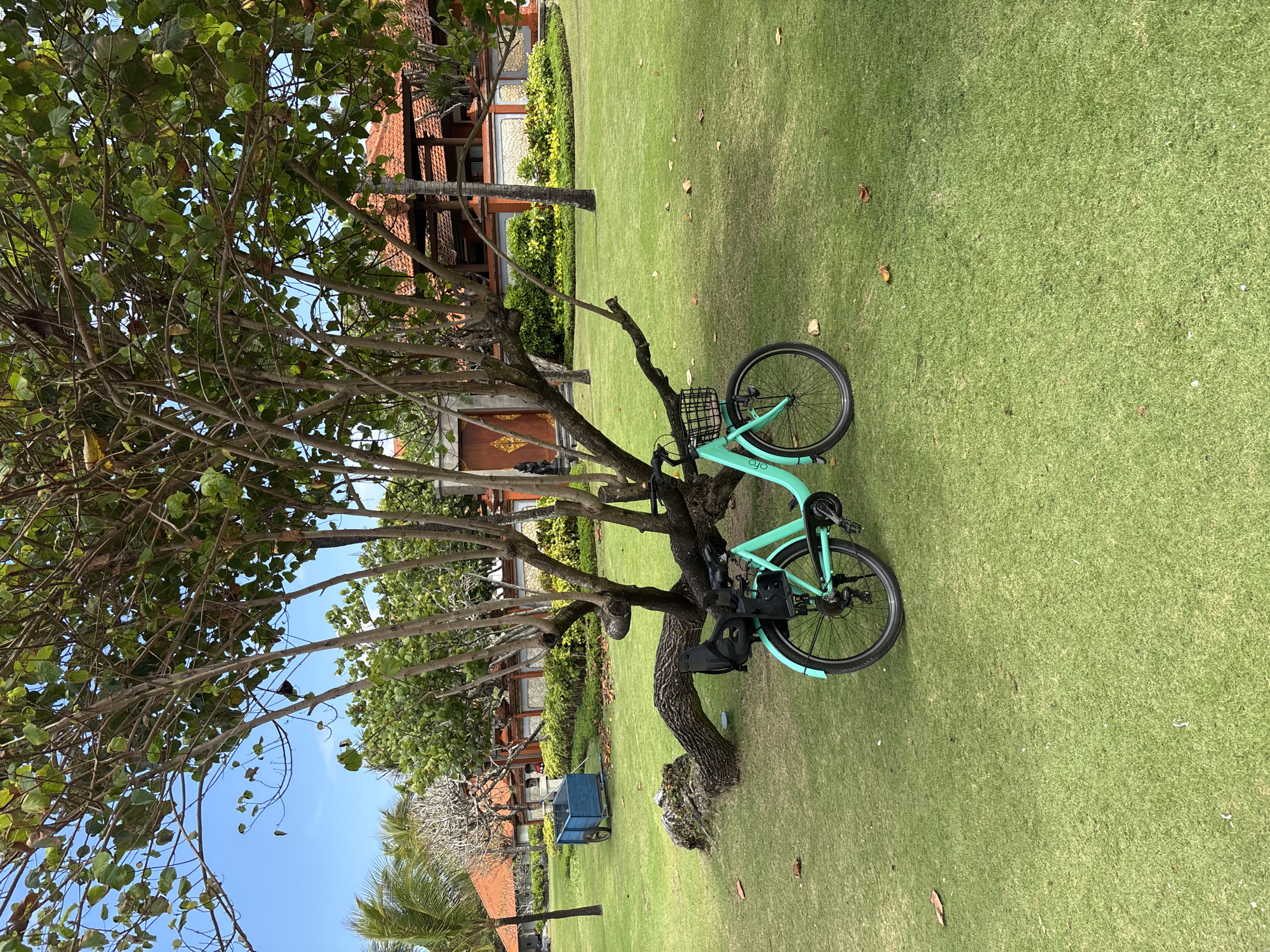 In Kuta Selatan, Indonesia, a bright teal bicycle with a front basket and a rear child seat rests on a well-manicured green lawn under the dappled shade of a mature tree with exposed roots. The bicycle's handlebars are turned slightly to the left. In the background, a traditional Indonesian building with terracotta tile roofing and ornate wooden doors is visible, surrounded by lush greenery and palm trees. A blue wheeled cart is positioned further back on the lawn to the left of the bicycle. The sky is clear and blue.