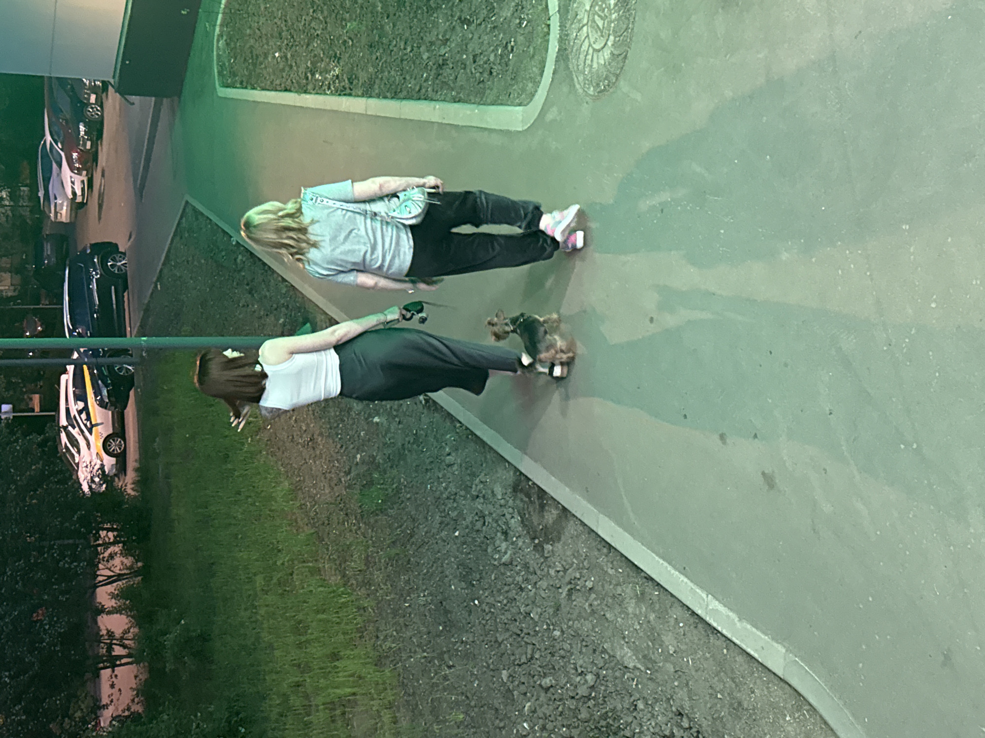 Two women are walking their dog on a paved walkway next to a grassy area. The woman closer to the foreground is wearing a white top and dark skirt, while the other woman is wearing a gray top and dark pants. A small dog is walking between them. In the background, several cars are parked next to a building. Based on the style of architecture, cars, and greenery, the image appears to be taken in a modern urban environment, possibly in Moscow, Russia.