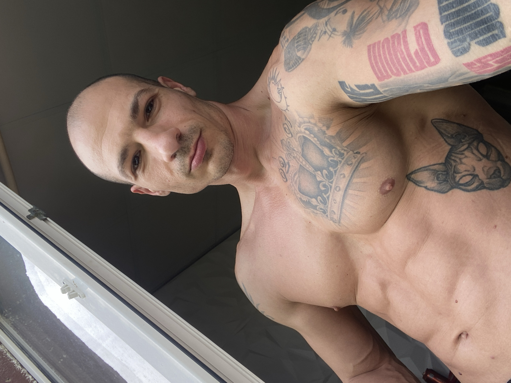 A shirtless man with multiple tattoos is photographed indoors at eye level with a slight upward angle. The man has a shaved head and light stubble on his face. Tattoos visible on his upper body include text "WORLD" on his right arm, a crown on his chest, and an animal head on his right pectoral muscle. He is standing next to a white-framed window. The location is unknown, and there is no indication that this image was taken in Pleven, Bulgaria.