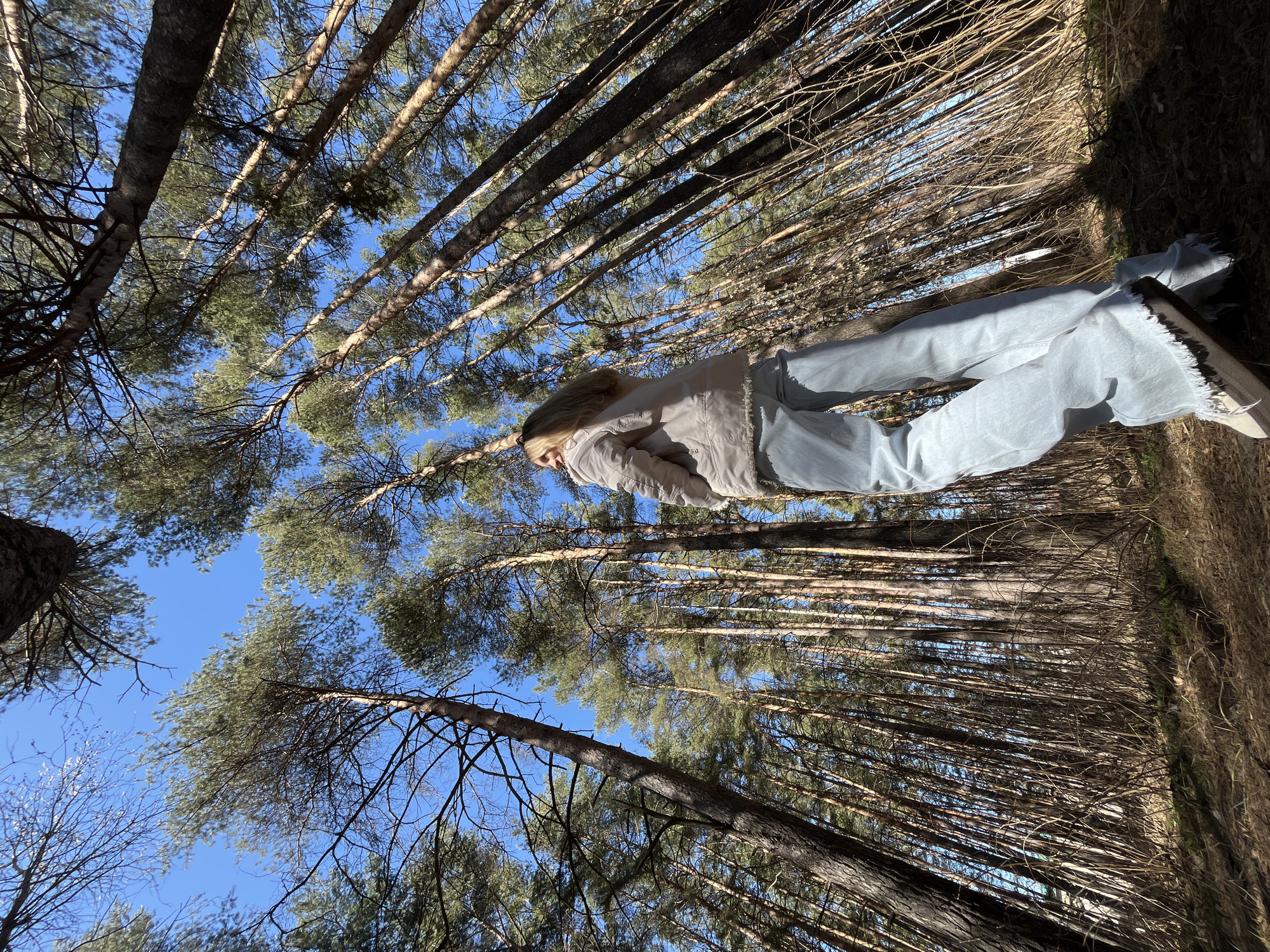 A low-angle shot reveals a person lying on the ground amidst a dense pine forest. The individual is dressed in light-colored jeans and a jacket, looking upwards. The dense canopy of pine trees stretches skyward, creating a pattern of trunks and branches against the blue sky. The ground is covered with fallen pine needles and dry undergrowth. The image was captured in the city of Chaikovsky, Russia.
