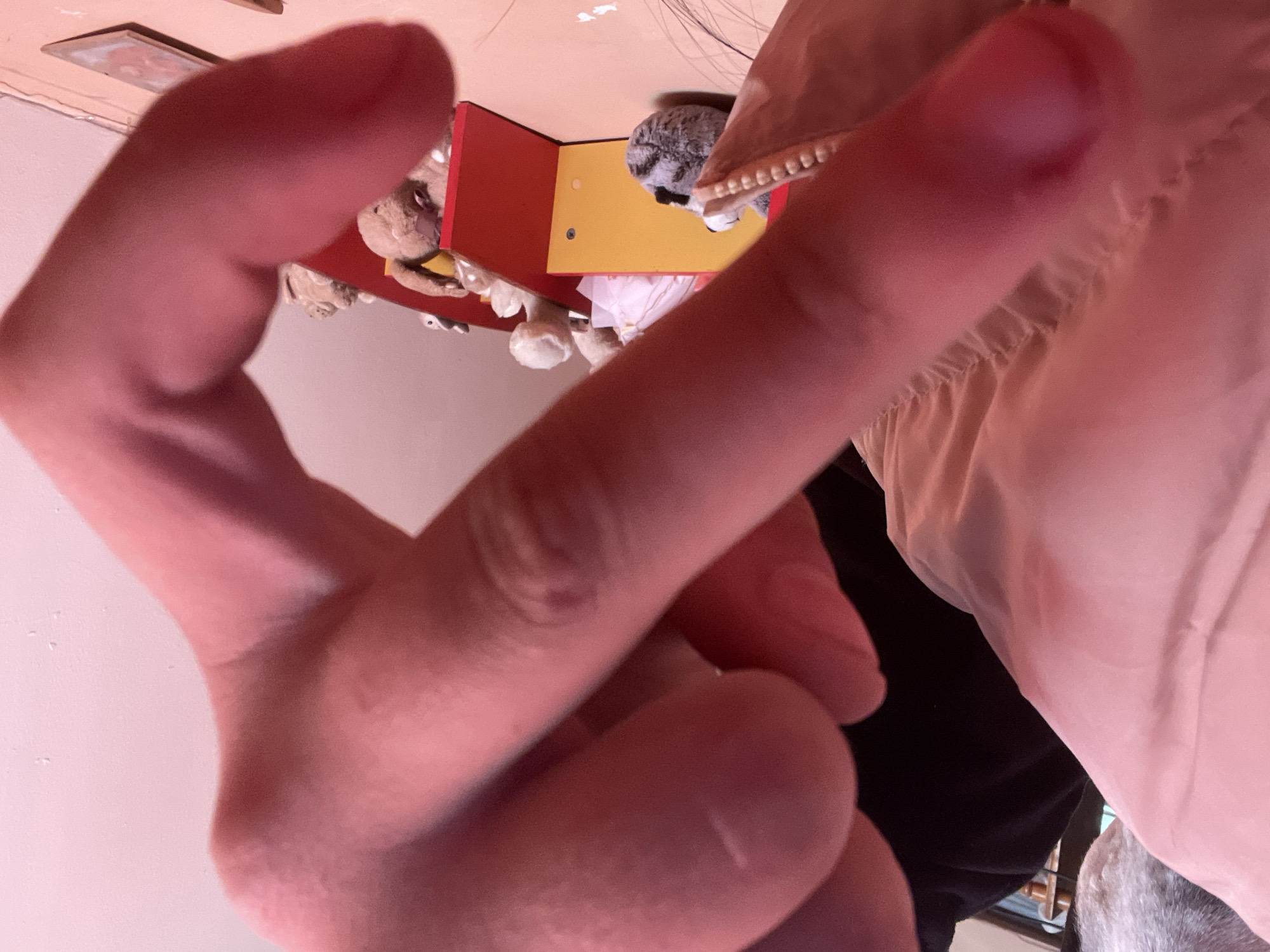 A close-up, distorted perspective image focuses primarily on a person's hand forming a V-shape with their fingers. The hand is pale pink. Behind the hand, there is a blurry background including a red and yellow structure with stuffed animals. A person in a light pink garment is visible. The photograph's perspective makes it appear as if the viewpoint is looking up. The location of the image is in the city of Harmanli, Bulgaria.