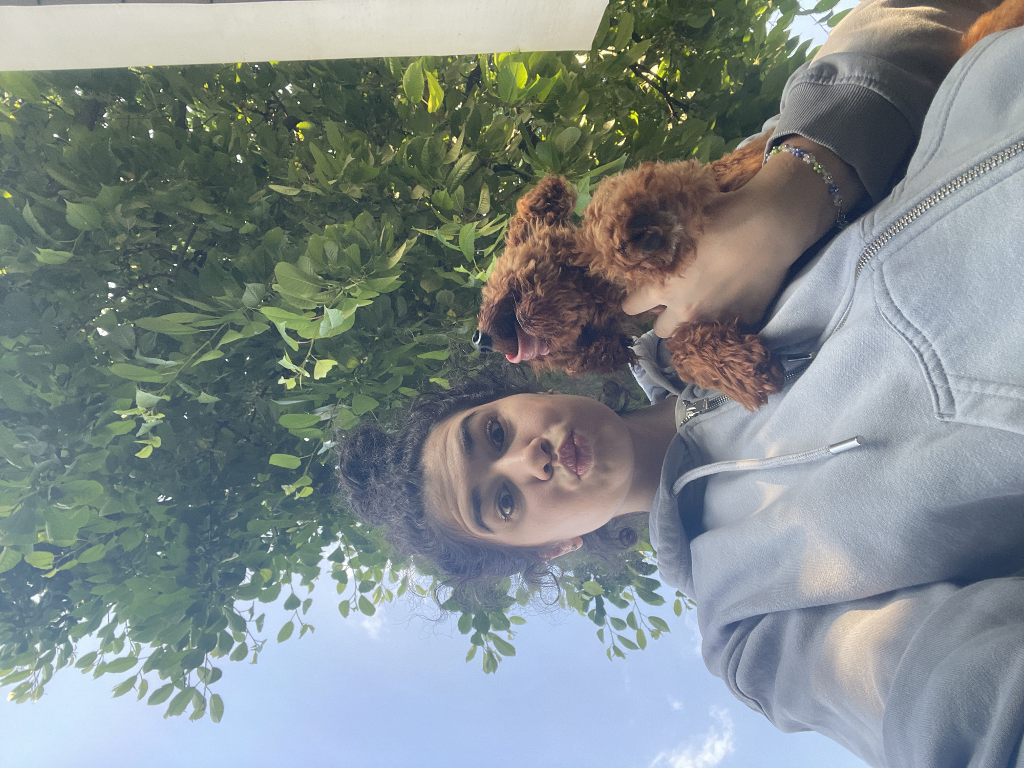 A young woman with curly hair and light skin holds a small brown poodle near her face. She wears a grey hoodie with a zipper and has a beaded bracelet on her wrist. The background shows green leaves and a blue sky, suggesting an outdoor location, potentially in a park or garden. The photo appears to be taken from a low angle, looking up. The location could potentially be in Sofia, Bulgaria, given the request, though no specific details confirm this.