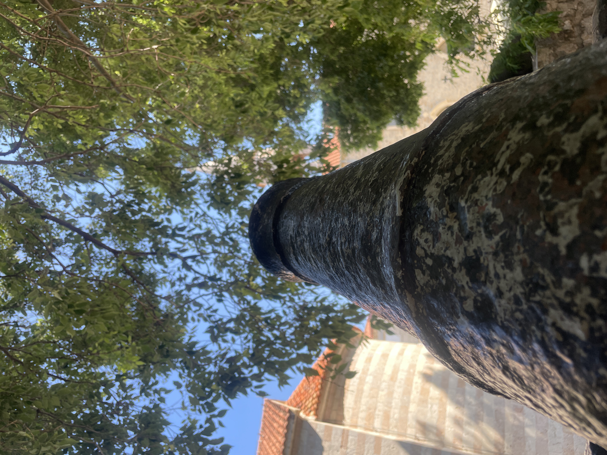The image shows a close-up of a cannon, with its barrel angled upwards. The cannon appears to be made of dark metal with a mottled surface. A tree with green leaves is visible in the background, along with a building featuring an orange-tiled roof and light-colored walls with vertical stripes. The location is given as Unknown, Unknown.