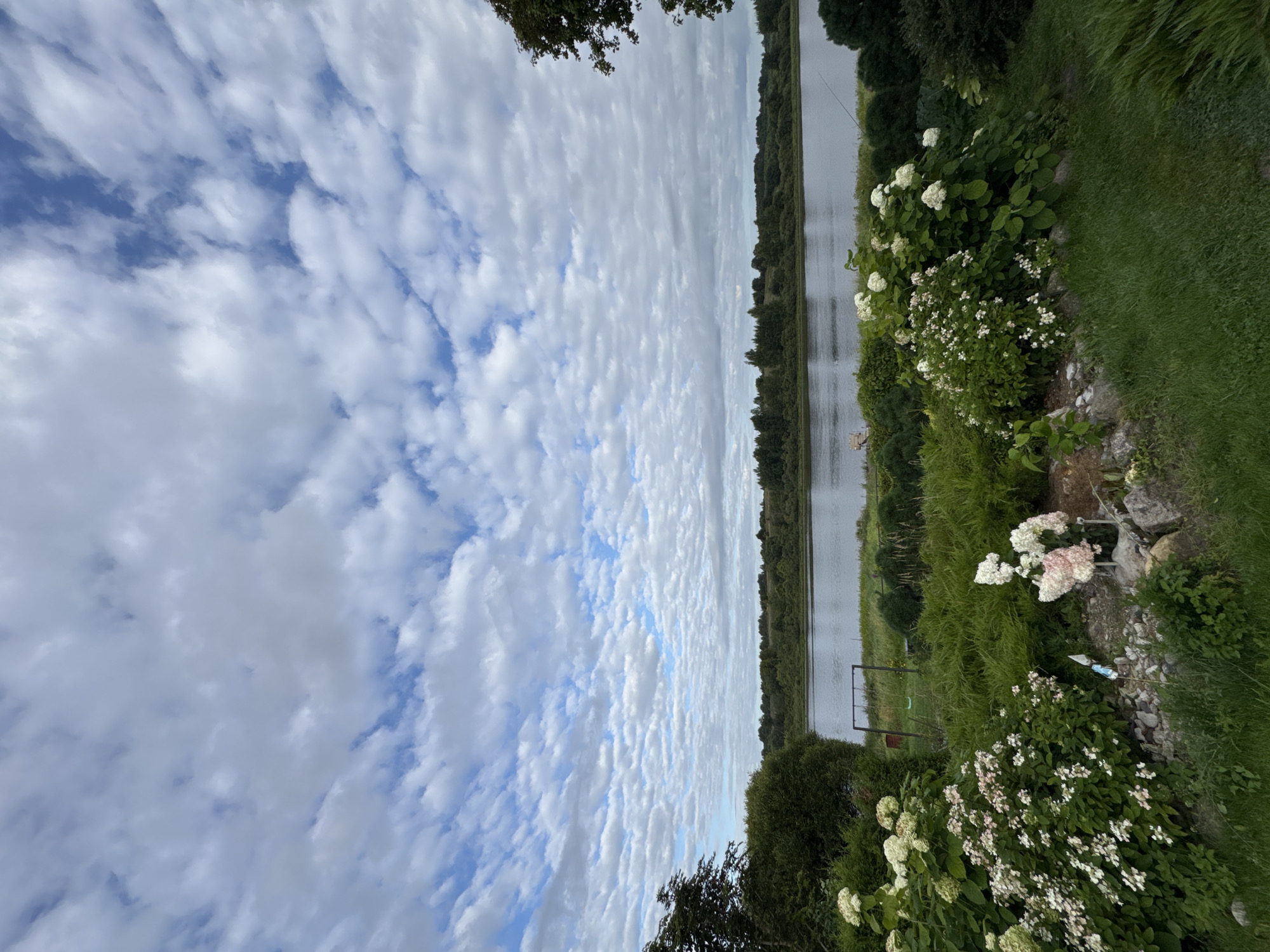 The image shows a wide, calm river flowing horizontally across the frame, bordered by a dense, green treeline on the opposite bank. The sky above is filled with a dramatic pattern of white, puffy clouds against a pale blue background. In the foreground, a lush green lawn leads to a garden area featuring various shrubs and flowering plants. Prominently displayed are large bushes of white hydrangeas and smaller clusters of white and pink flowers, interspersed with rocks and more greenery. A small swing set with a green seat is visible in the mid-ground, situated near the edge of the riverbank. The overall scene suggests a serene, natural landscape with cultivated elements. This location is identified as Sitno, Russia.