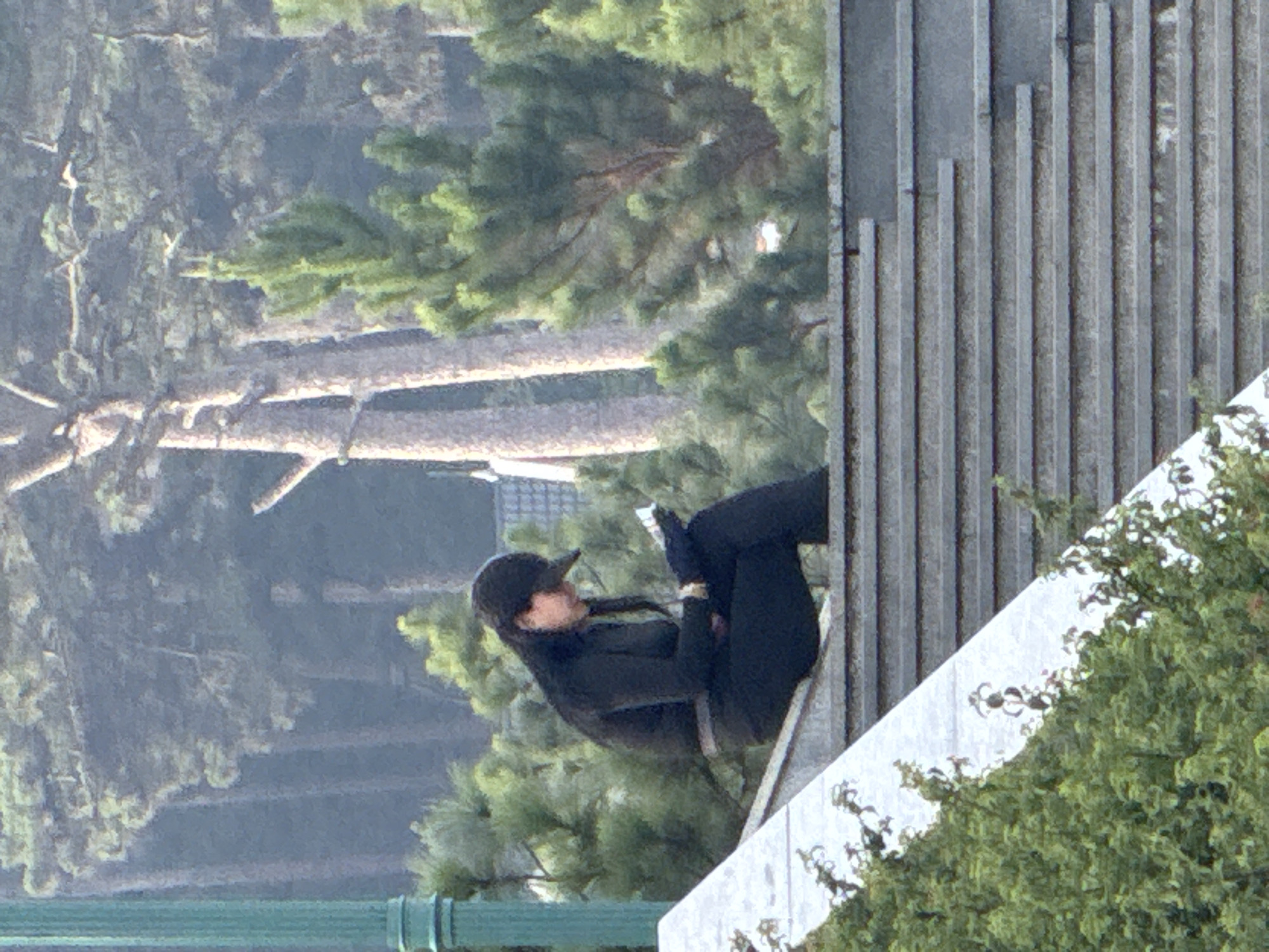 An outdoor, daytime shot, likely taken in Da Lat, Vietnam, depicts a person engrossed in an activity. The individual, dressed in black clothing and a matching baseball cap, is seated or leaning against a white ledge, with their back to a distinctive grey, vertically-slatted architectural structure. They are looking down at a small, light-colored object held in their hands, which could be a phone, a book, or an e-reader. A gold-colored watch or bracelet is visible on their left wrist.
The background is filled with dense green foliage, primarily pine trees, suggesting a natural or park-like environment. The soft, even lighting indicates it is daytime, possibly overcast or late afternoon, as there are no harsh shadows. A prominent green structural element, possibly a railing, is visible in the foreground. The person appears calm and focused on their reading or device usage. No visible text can be identified in the image.