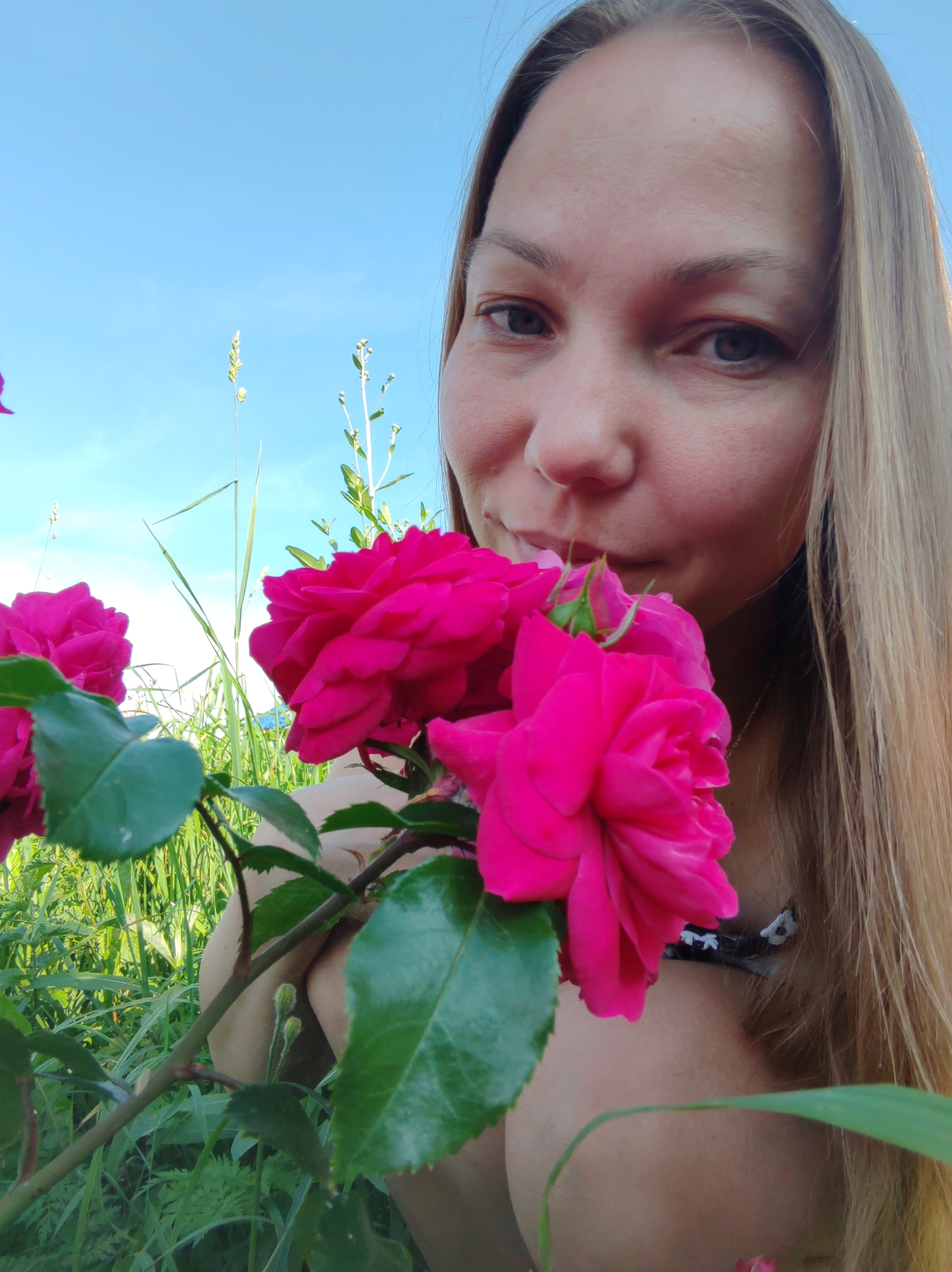 A medium shot captures a blonde woman holding a cluster of bright pink roses in front of her face. She is outdoors, with a clear blue sky and green foliage visible in the background. The roses are in sharp focus, with their petals and green leaves detailed. The woman's face is partially obscured by the flowers, but her eyes and a portion of her nose and mouth are visible. She appears to be smiling subtly. Her hair is long and light brown, falling over her shoulders. The setting suggests a garden or a park, with tall grasses and thin stalks of plants interspersed with the roses. There is no indication of the city of Чухлэм, Russia in the image.