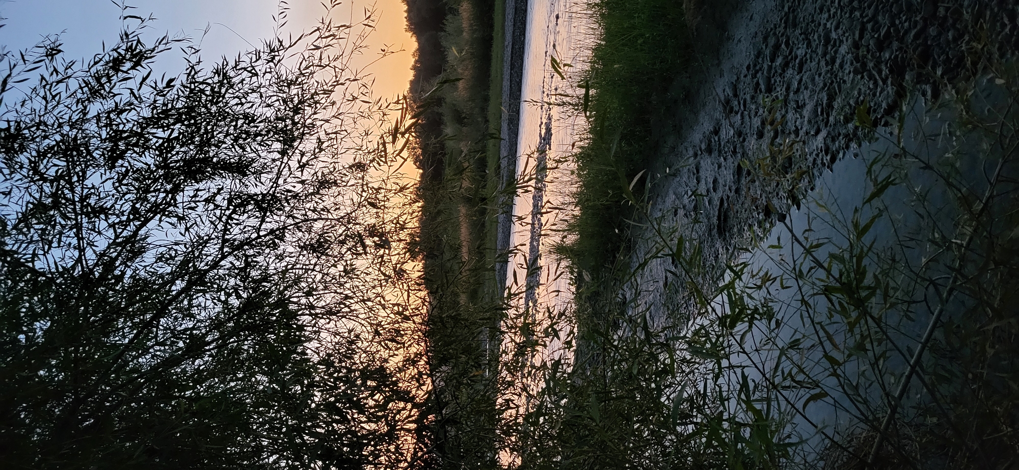 The image depicts a serene natural scene, possibly near a riverbank, at dusk. The foreground is dominated by the silhouetted branches and leaves of a tree, creating a dappled effect against the sky. Beyond the tree, a body of water, likely a river or stream, reflects the soft hues of the setting sun. The water appears calm with ripples, and the riverbed is visible in some areas, revealing stones and pebbles. Lush green grass and reeds line the banks of the water. The background shows a gently sloping landscape with trees and vegetation, bathed in the warm glow of the sunset. The sky transitions from a pale blue at the top to shades of orange and pink near the horizon, indicating the end of the day. The overall impression is one of tranquility and natural beauty. There are no people or man-made structures visible in the image.