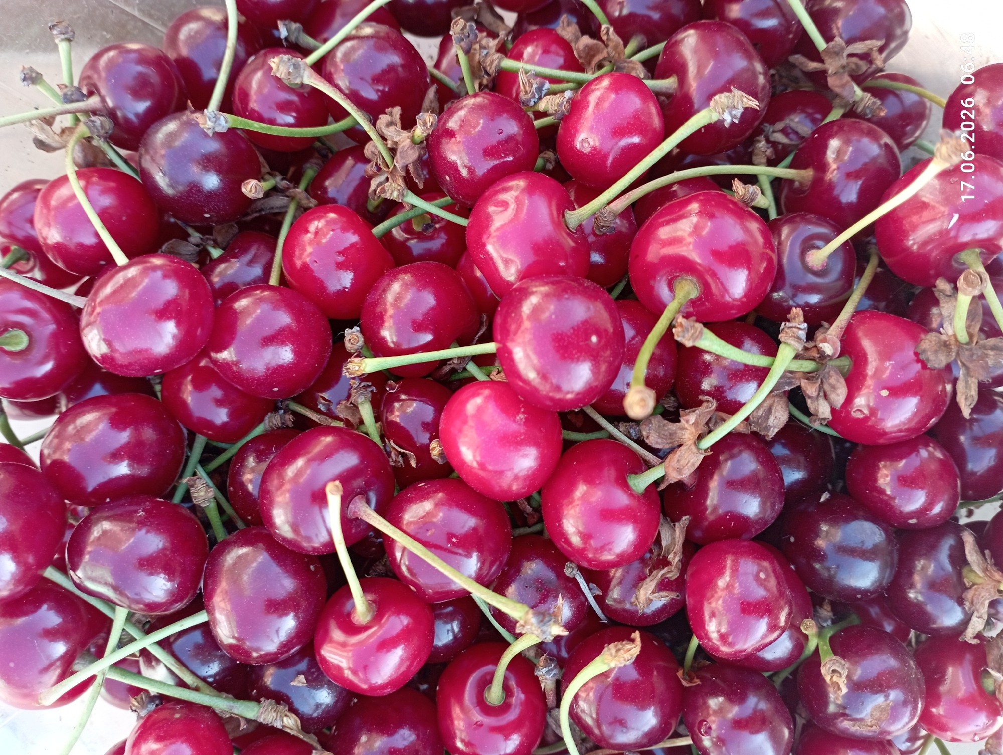 The image is a close-up, overhead shot of a large pile of ripe cherries. The cherries are a deep red color and appear glossy. Many of them have stems attached. The lighting suggests an outdoor setting, possibly in natural daylight. The focus is entirely on the cherries, with no background or environment visible. There is no indication of location within a city, nor any people or specific actions. A timestamp "17.06.2026 06:48" is overlaid on the bottom right corner of the image.