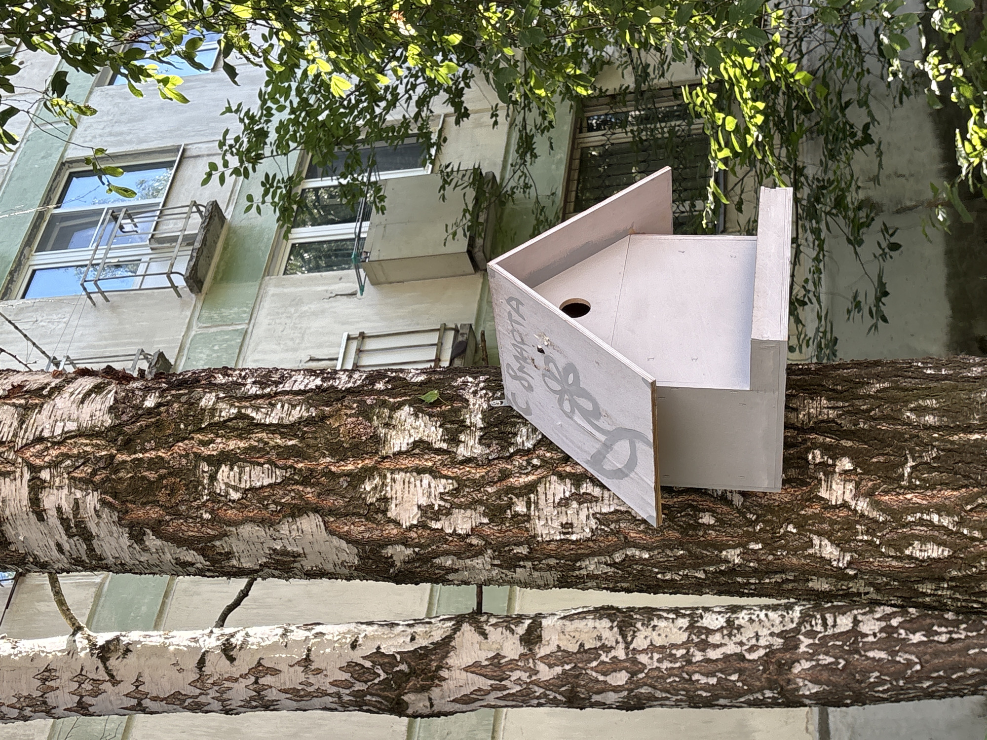 The image shows a close-up view of a birdhouse attached to a tree trunk. The birdhouse is a light gray, geometric structure with a circular opening. It is decorated with a gray, floral-like design. The tree trunk it's attached to has rough, textured bark with a mix of dark brown and white. Below this main trunk, another, thinner tree branch with similar bark is visible.
In the background, the facade of a multi-story building is visible. The building appears to be made of light-colored material with greenish accents around the windows. Several windows are visible, some with what look like metal grates or air conditioning units attached. Green leaves from trees hang over the scene, casting shadows and creating dappled light, suggesting it is daytime. The overall lighting indicates it's likely a sunny day.
No people are visible in the image. The scene appears to be outdoors, possibly in a residential area or park, given the building and trees. The birdhouse's placement suggests an attempt to provide a habitat for birds in an urban or suburban environment. The image is captured from a low angle, looking up towards the building and the birdhouse. Some faint text or markings are visible on the birdhouse, but they are too indistinct to be read.