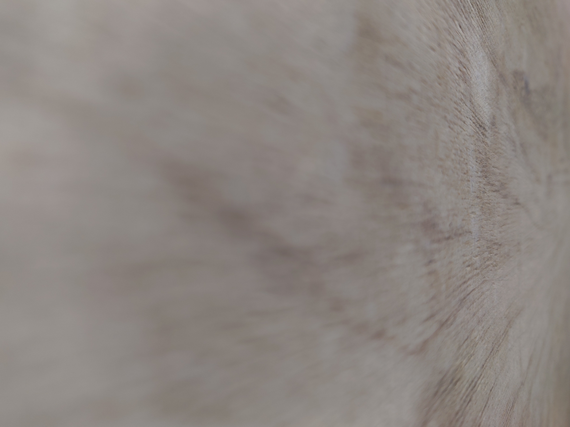 The image is a close-up, abstract shot of a light-colored, textured surface, possibly wood grain or a similar material. The texture is characterized by fine, parallel lines that appear to radiate outwards from a central point towards the right side of the frame, creating a sense of depth and motion blur. The colors are muted, consisting primarily of soft browns and grays. The focus is shallow, with the left side of the image being more out of focus and the right side showing more defined texture. There are no people, objects, or any discernible features that would suggest a specific location in Belorechensk, Russia, or any other city. The scene is purely textural and abstract.